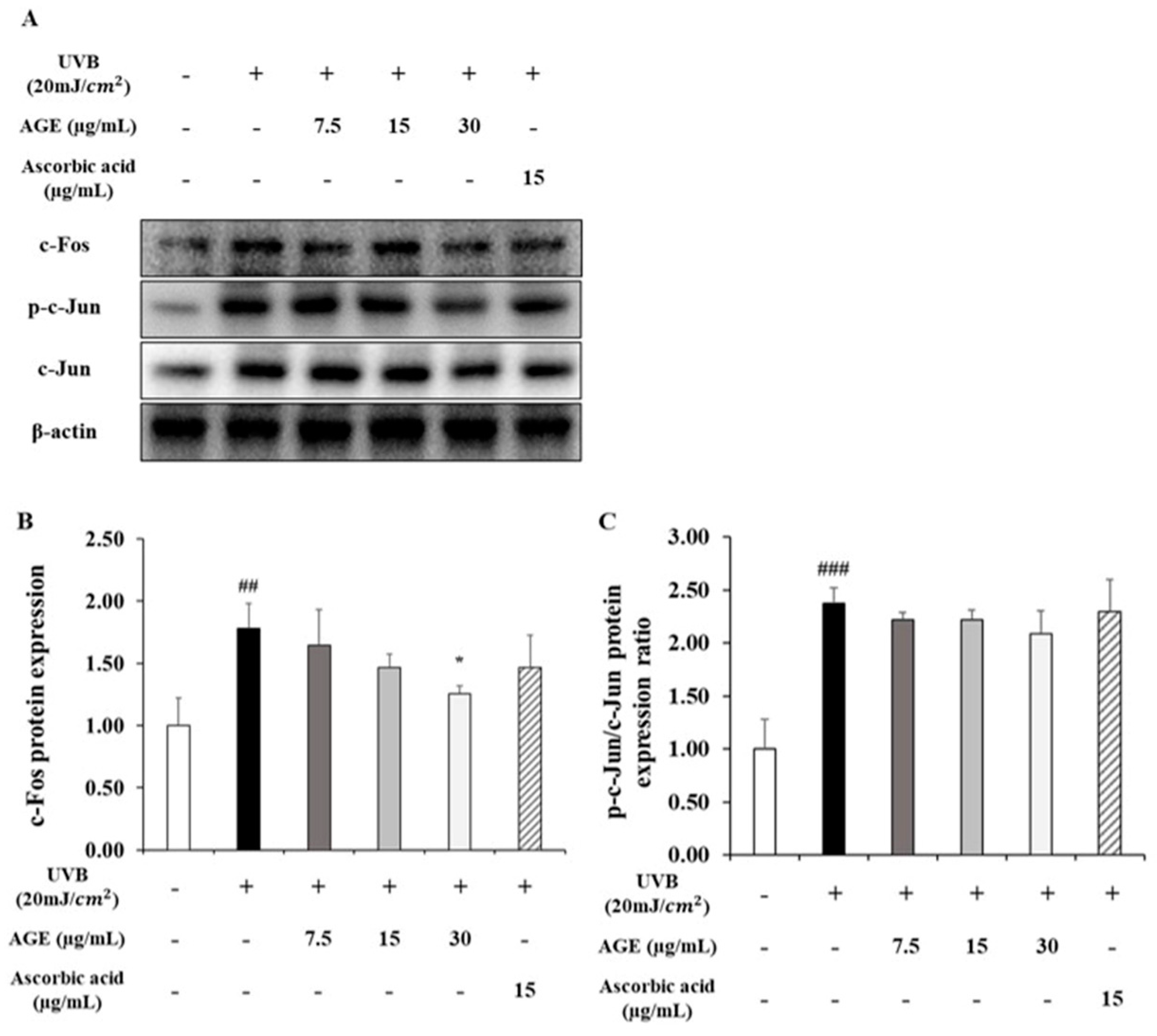 Molecules 26 00662 g005 Molecules 26 00662 g005