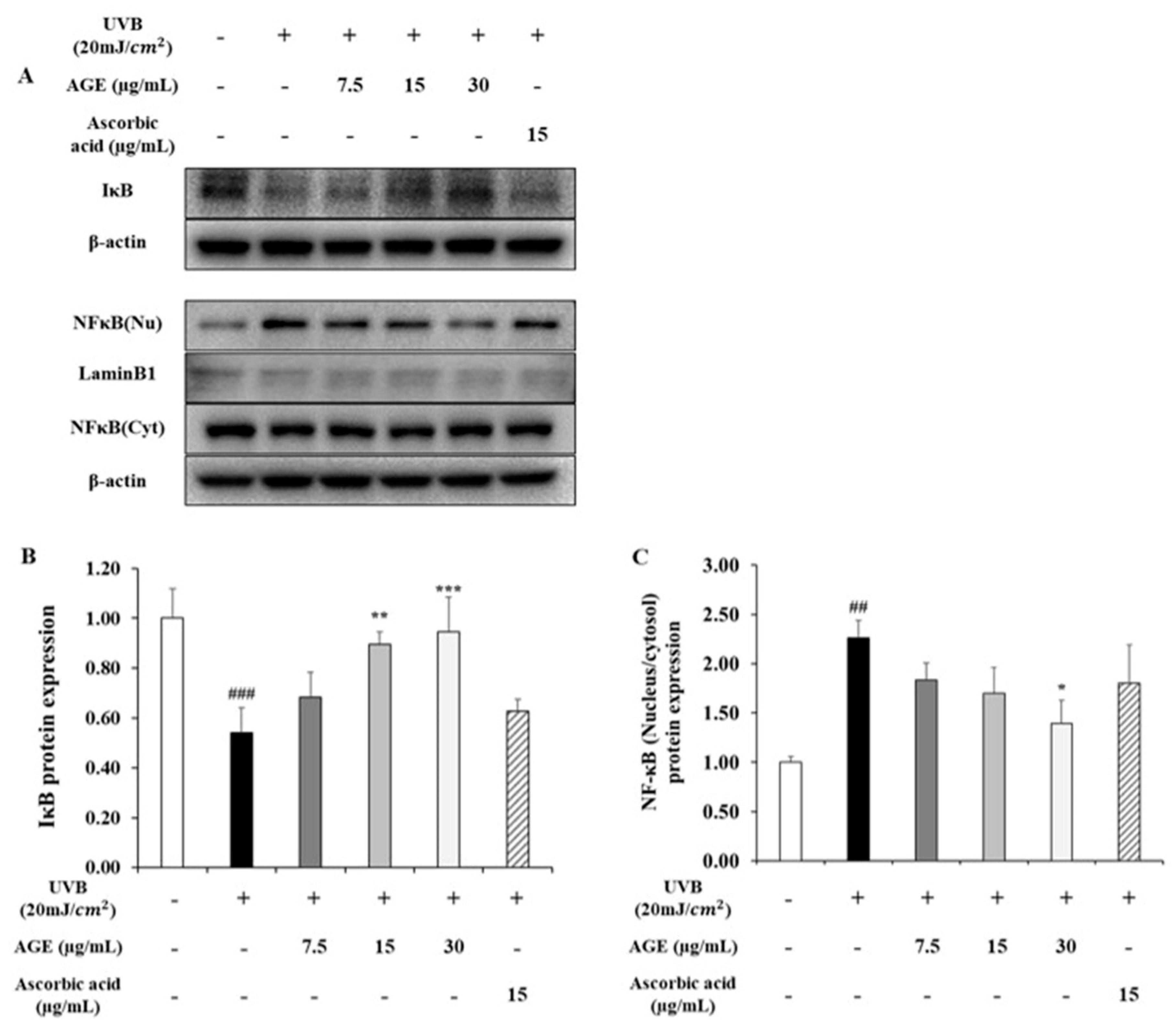 Molecules 26 00662 g006 Molecules 26 00662 g006