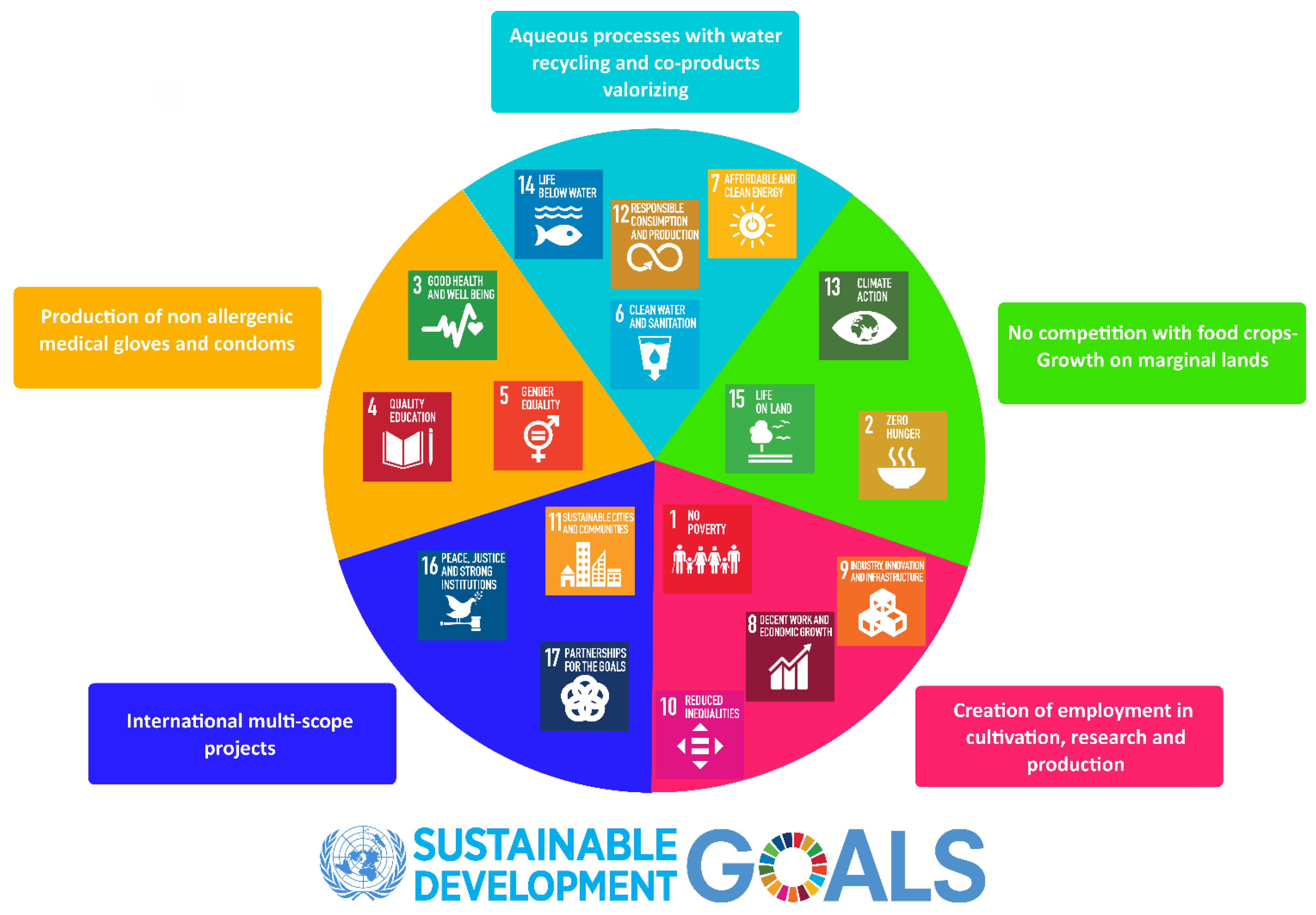 Molecules 26 00664 g001