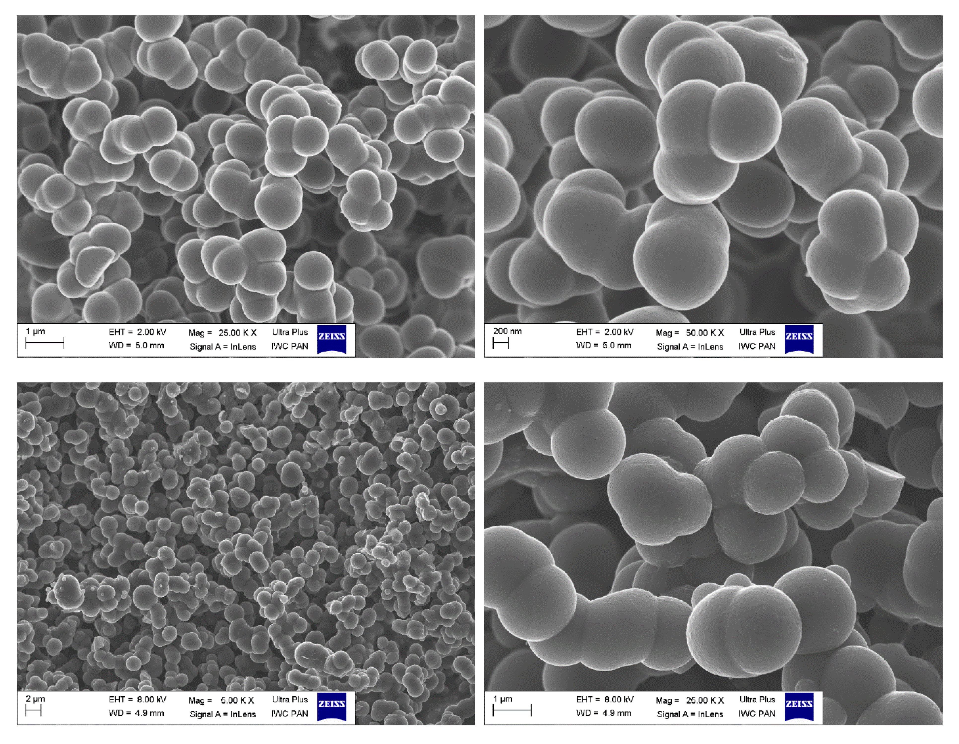 Molecules 26 00668 g004