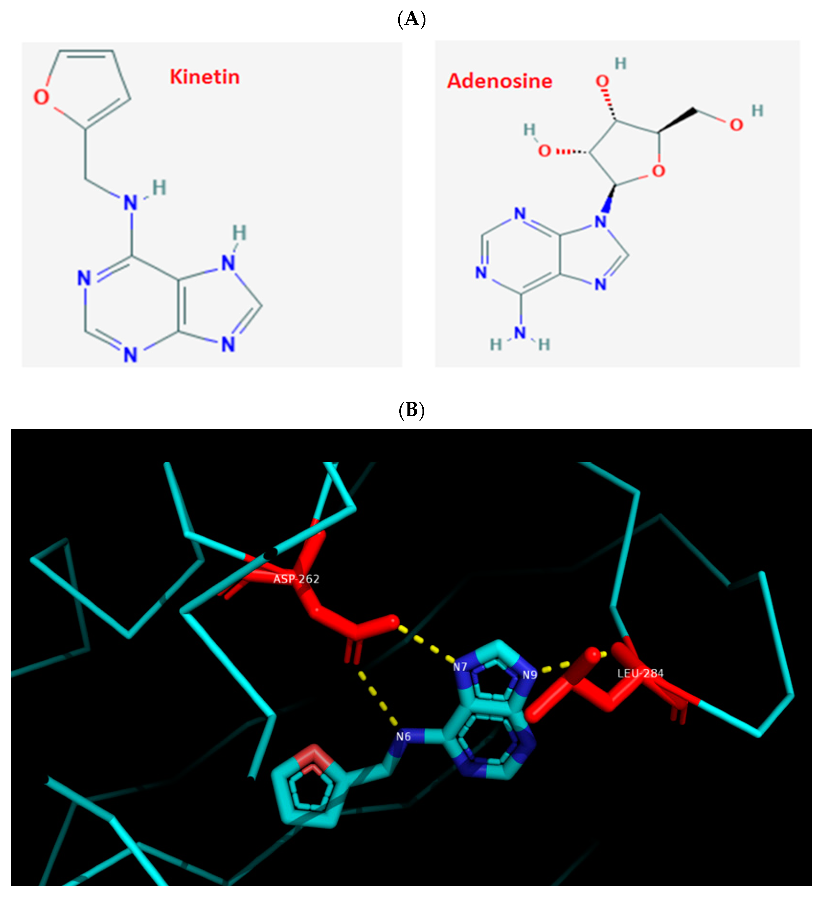 Molecules 26 00670 g001a