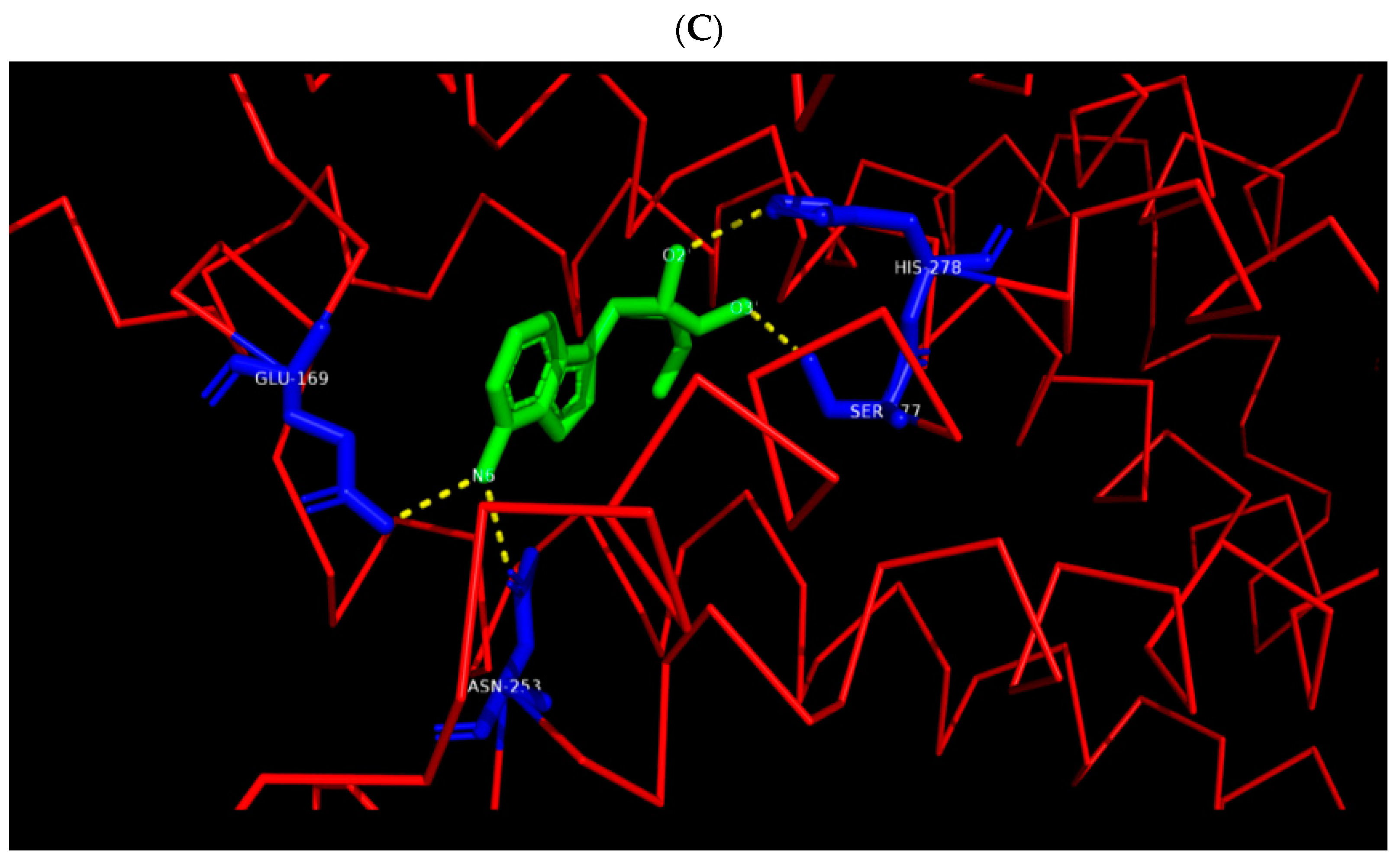 Molecules 26 00670 g001b