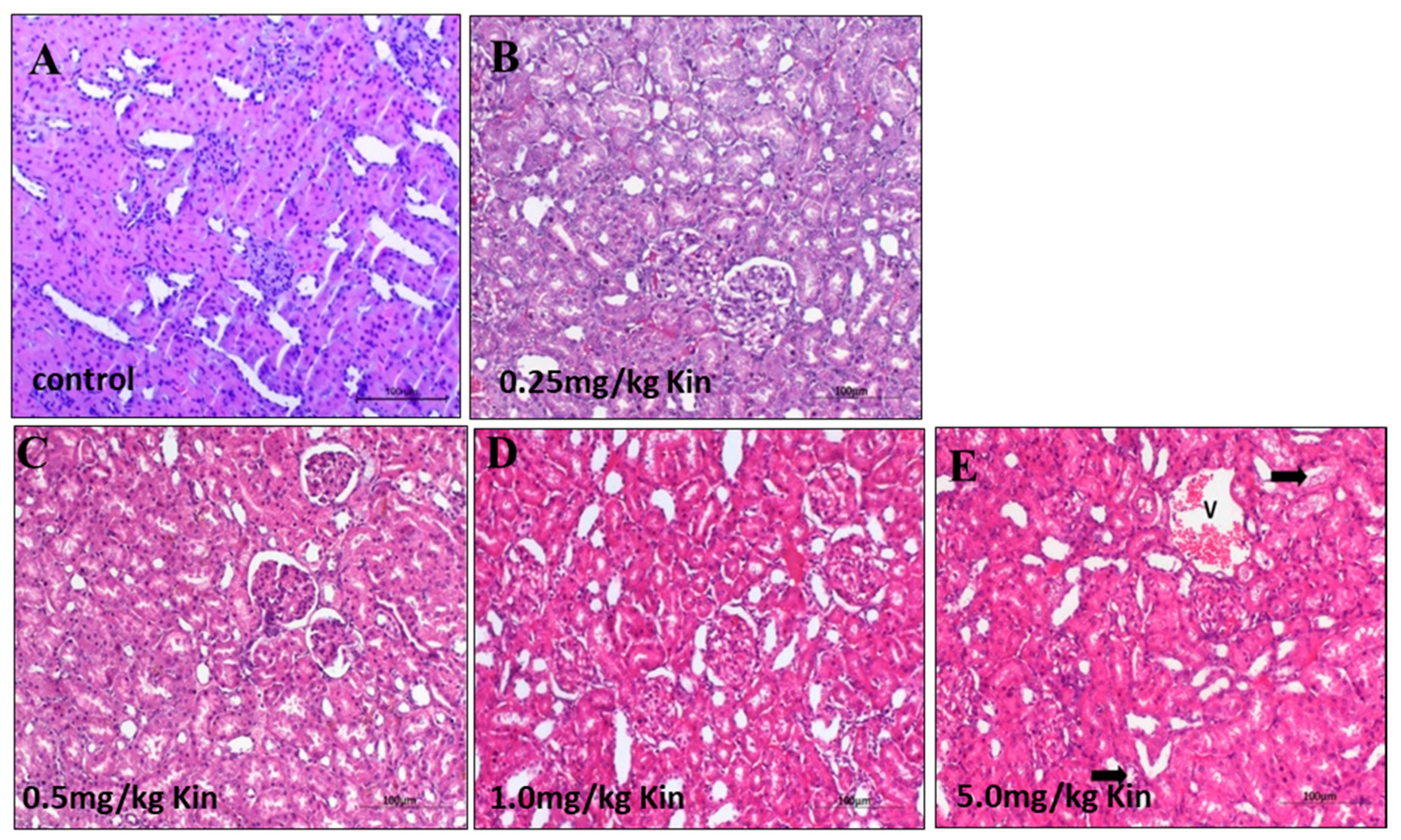 Molecules 26 00670 g005