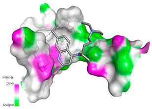 Molecules 26 00673 i004 Molecules 26 00673 i004