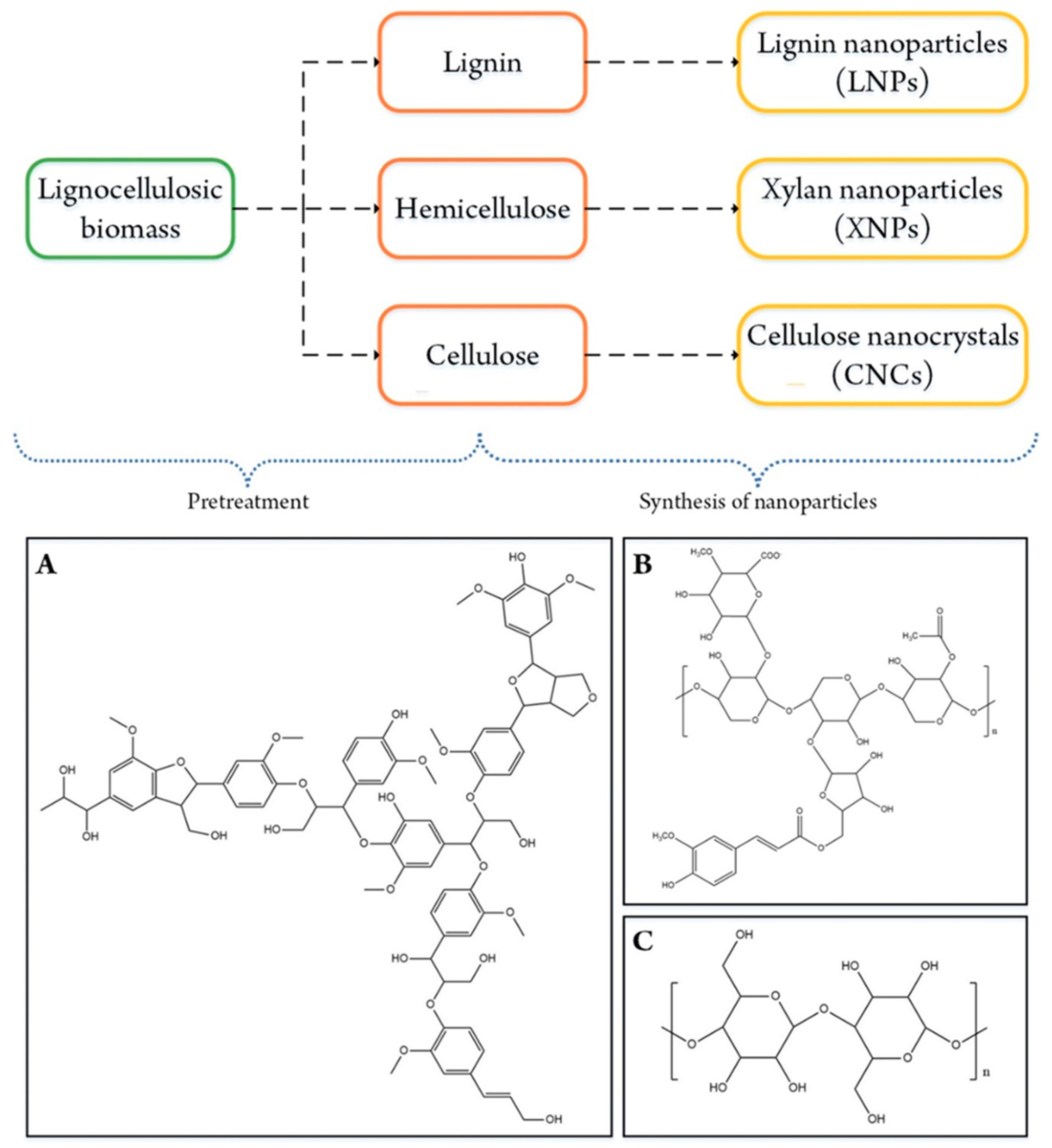 Molecules 26 00676 g001