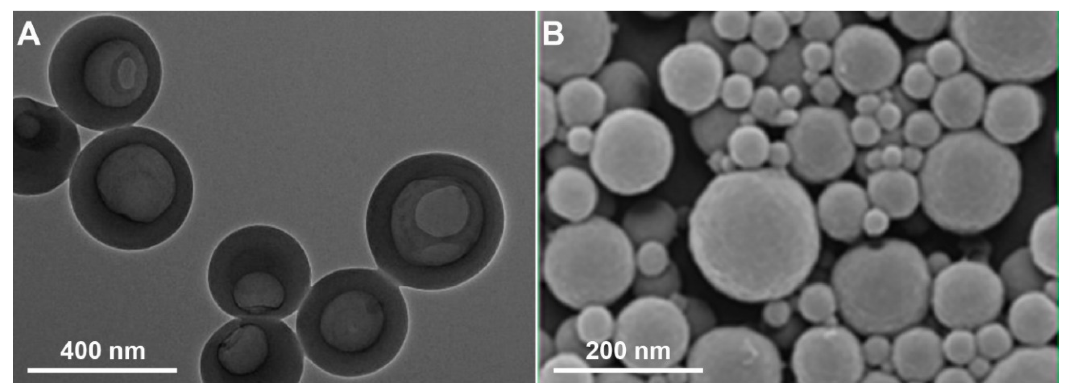 Molecules 26 00676 g002