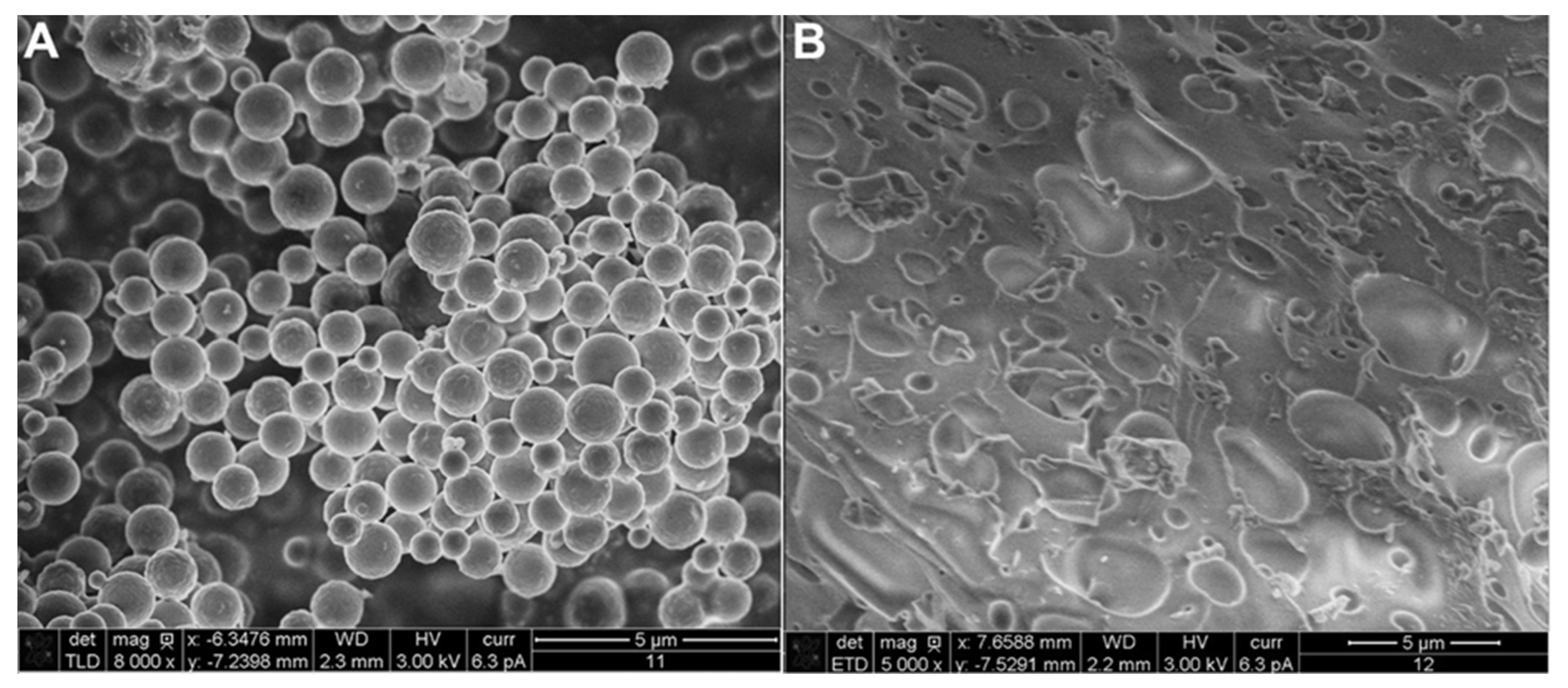 Molecules 26 00676 g003