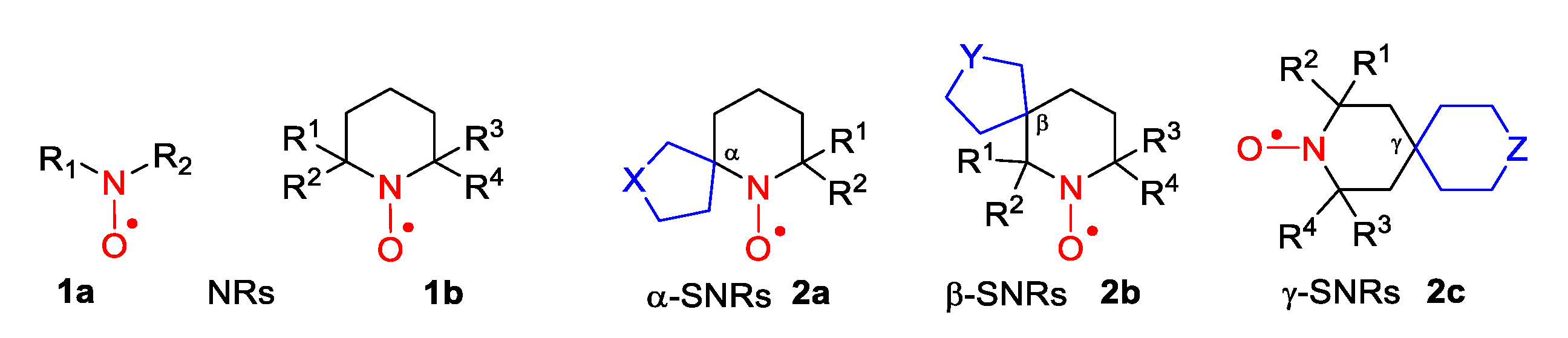 Molecules 26 00677 g001