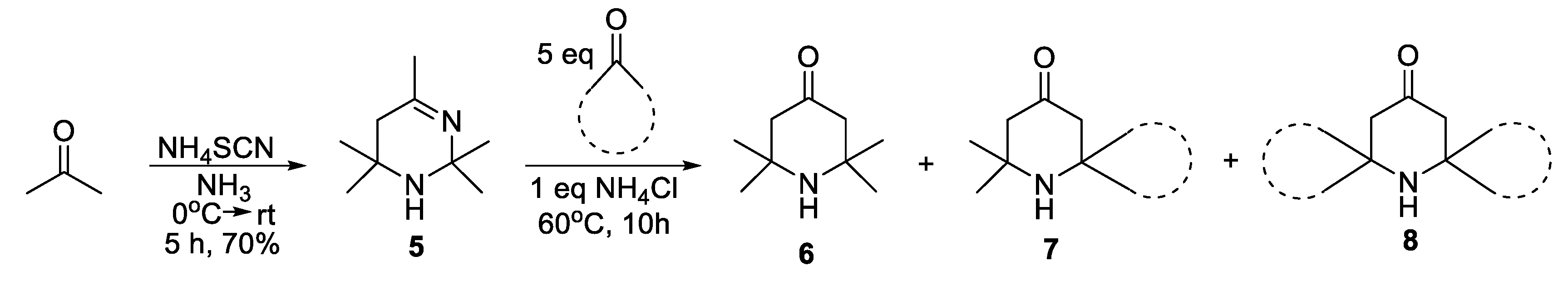 Molecules 26 00677 sch001