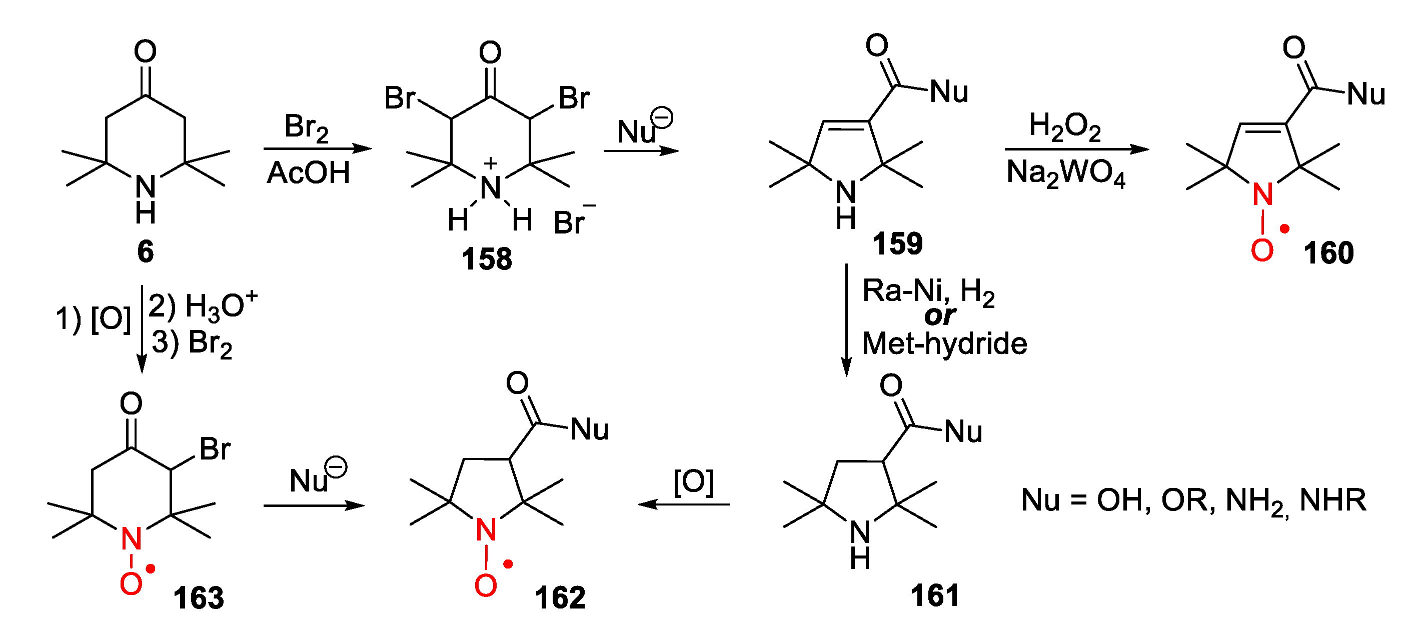 Molecules 26 00677 sch030