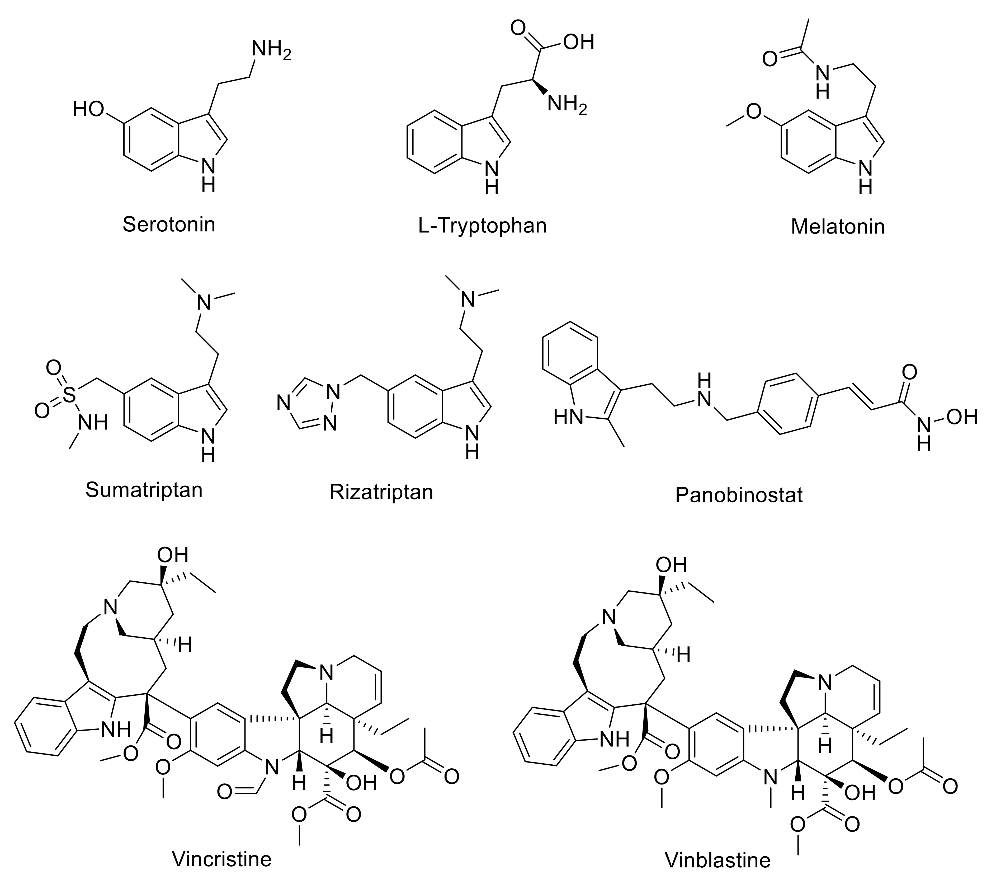 Molecules 26 00683 g001