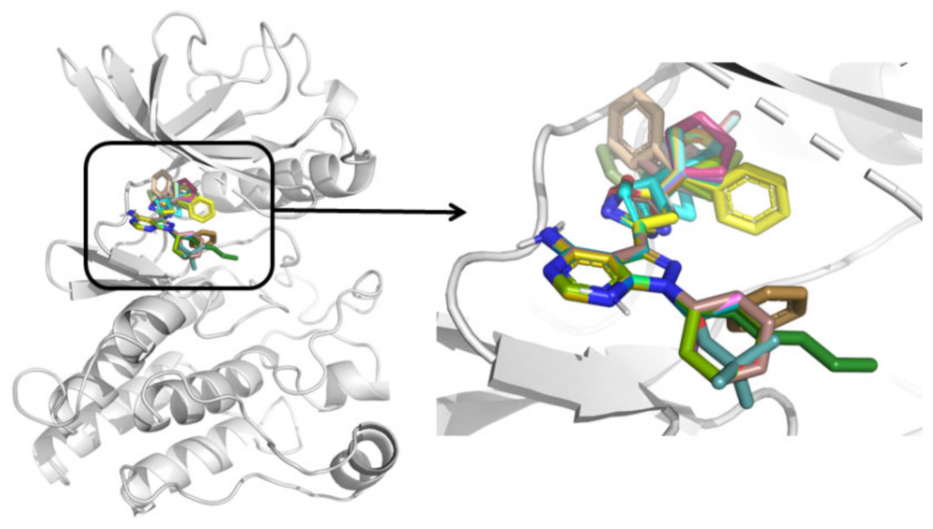 Molecules 26 00691 g005