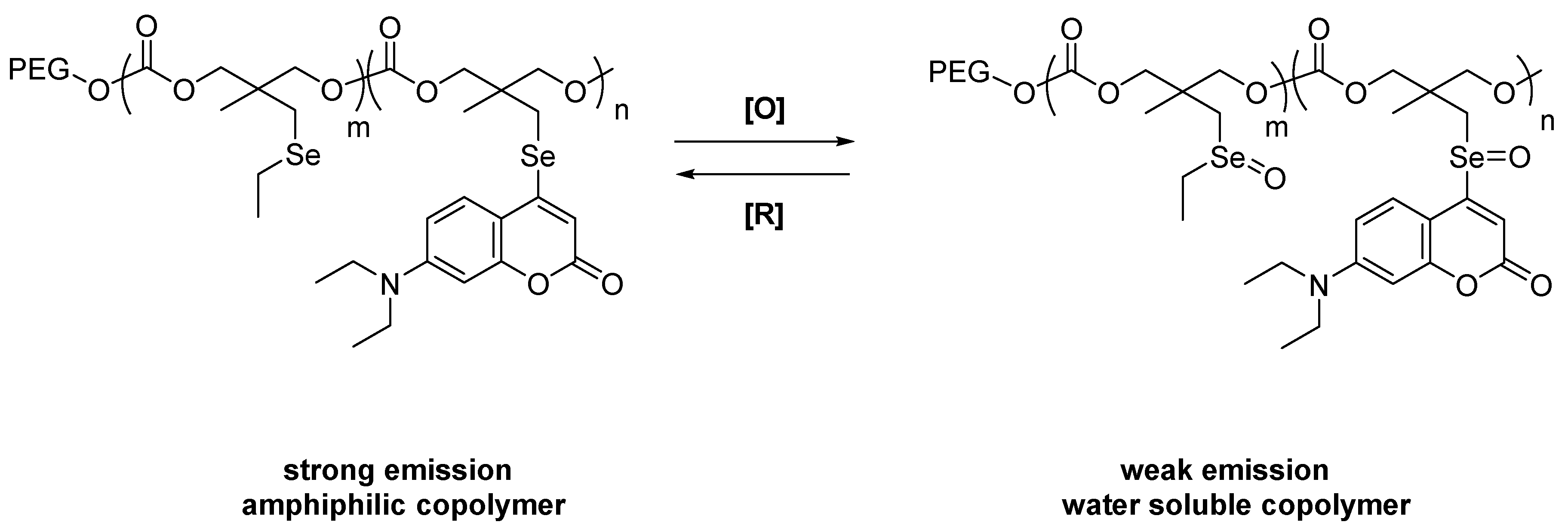 Molecules 26 00692 g007