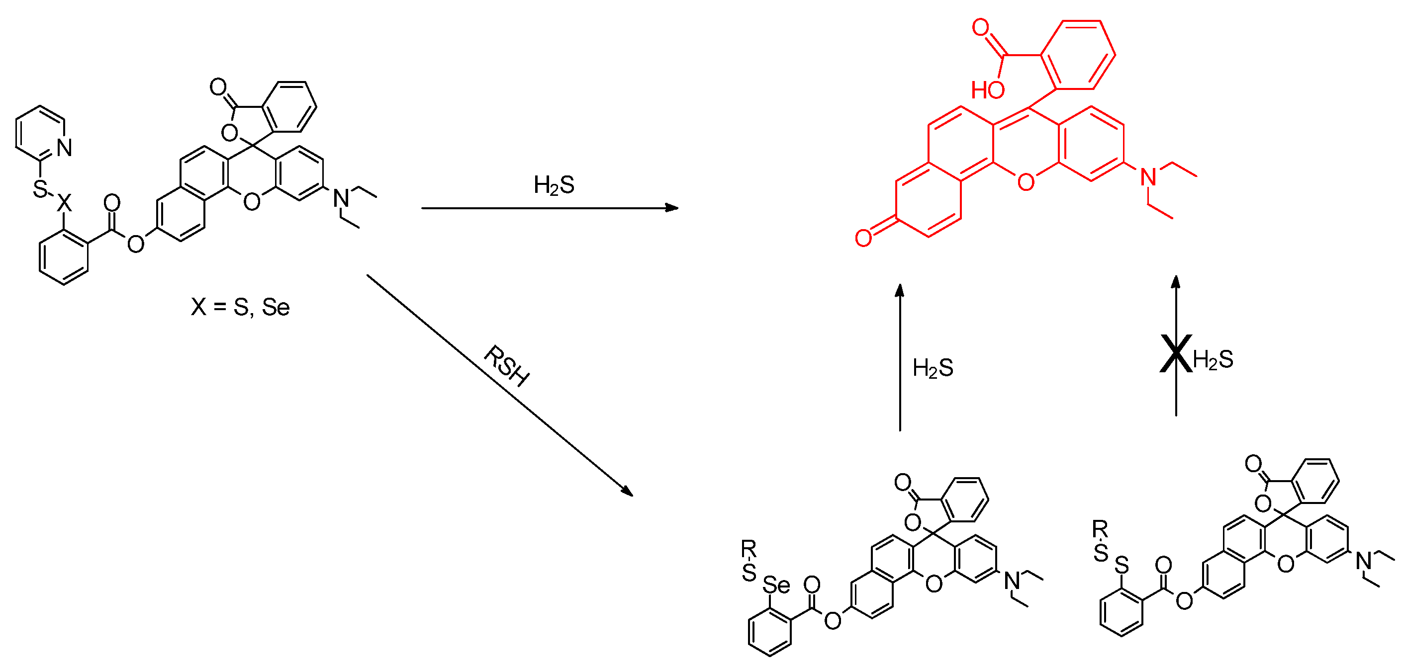 Molecules 26 00692 g014
