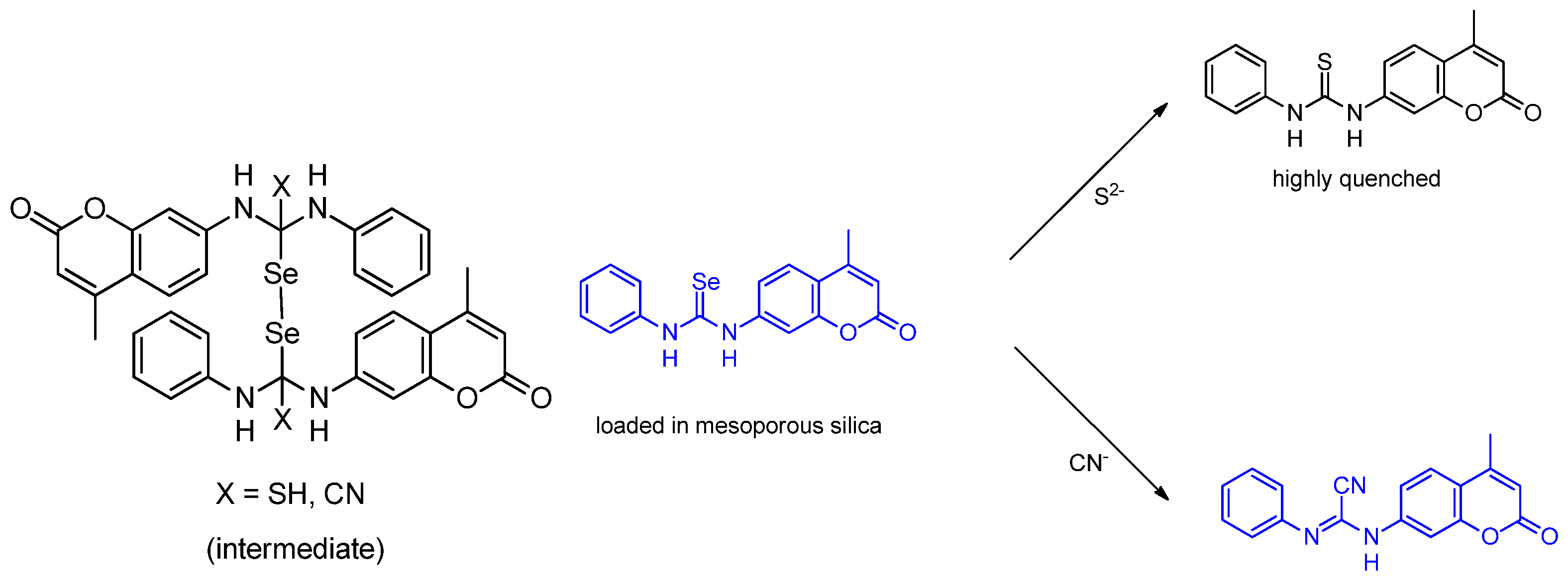 Molecules 26 00692 g018