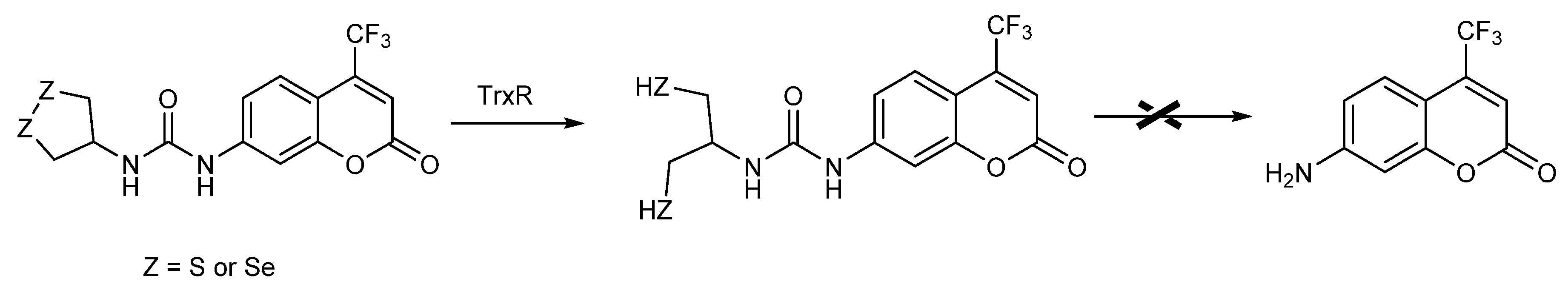 Molecules 26 00692 g026