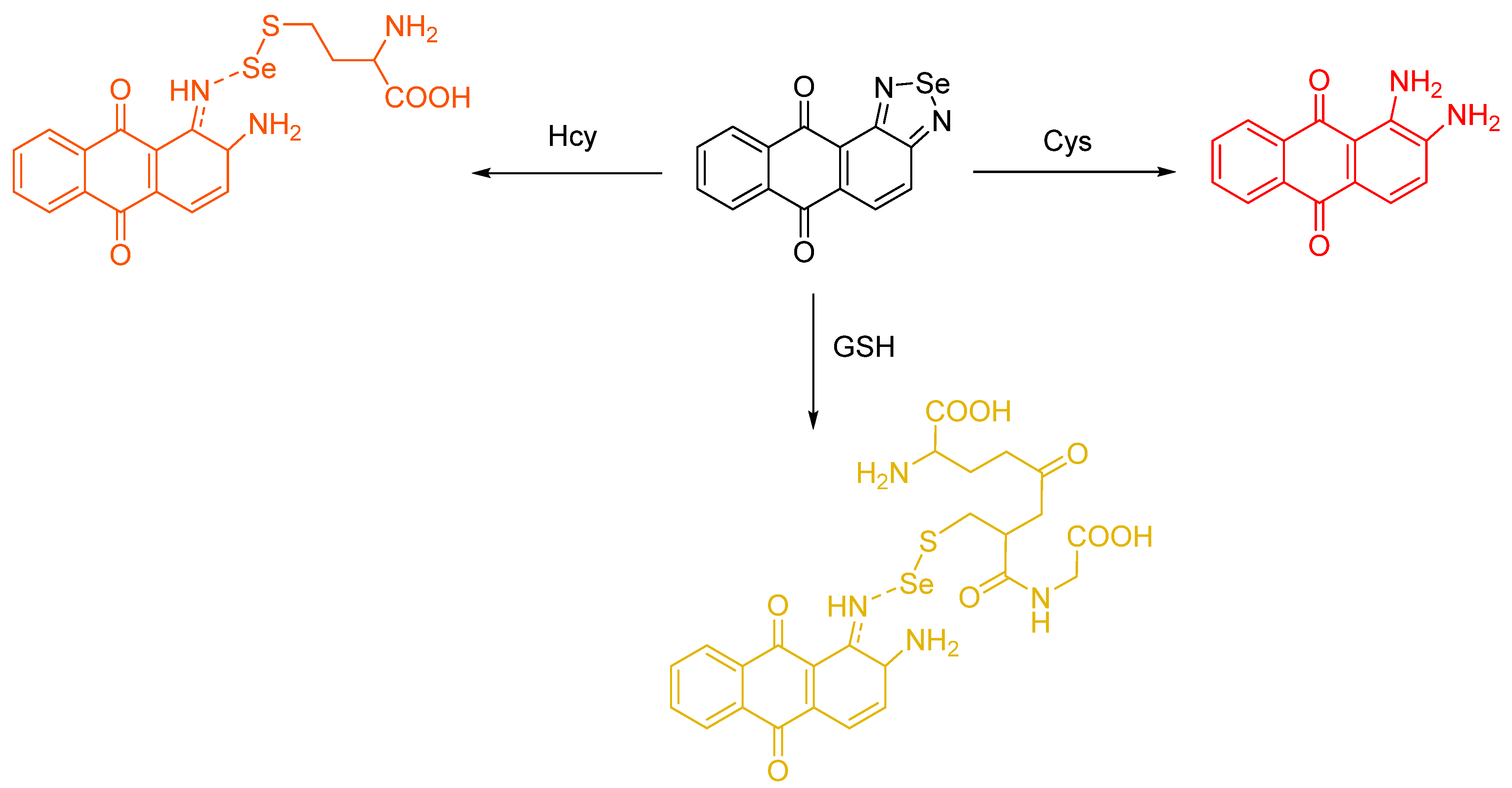 Molecules 26 00692 g030