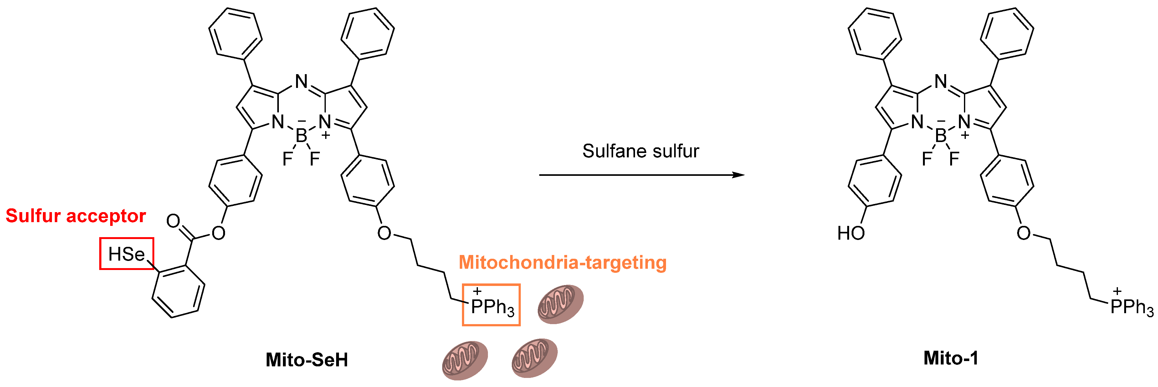 Molecules 26 00692 g040