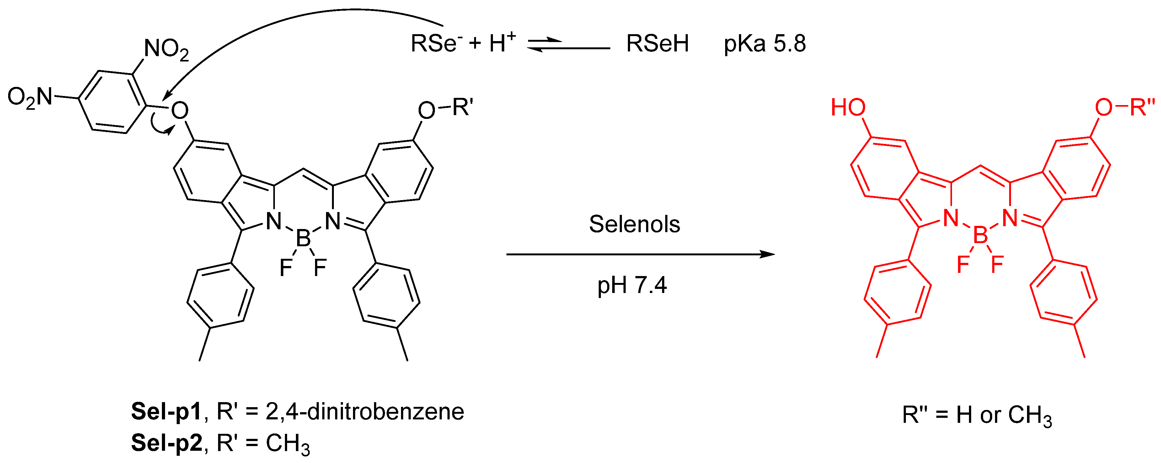 Molecules 26 00692 g054