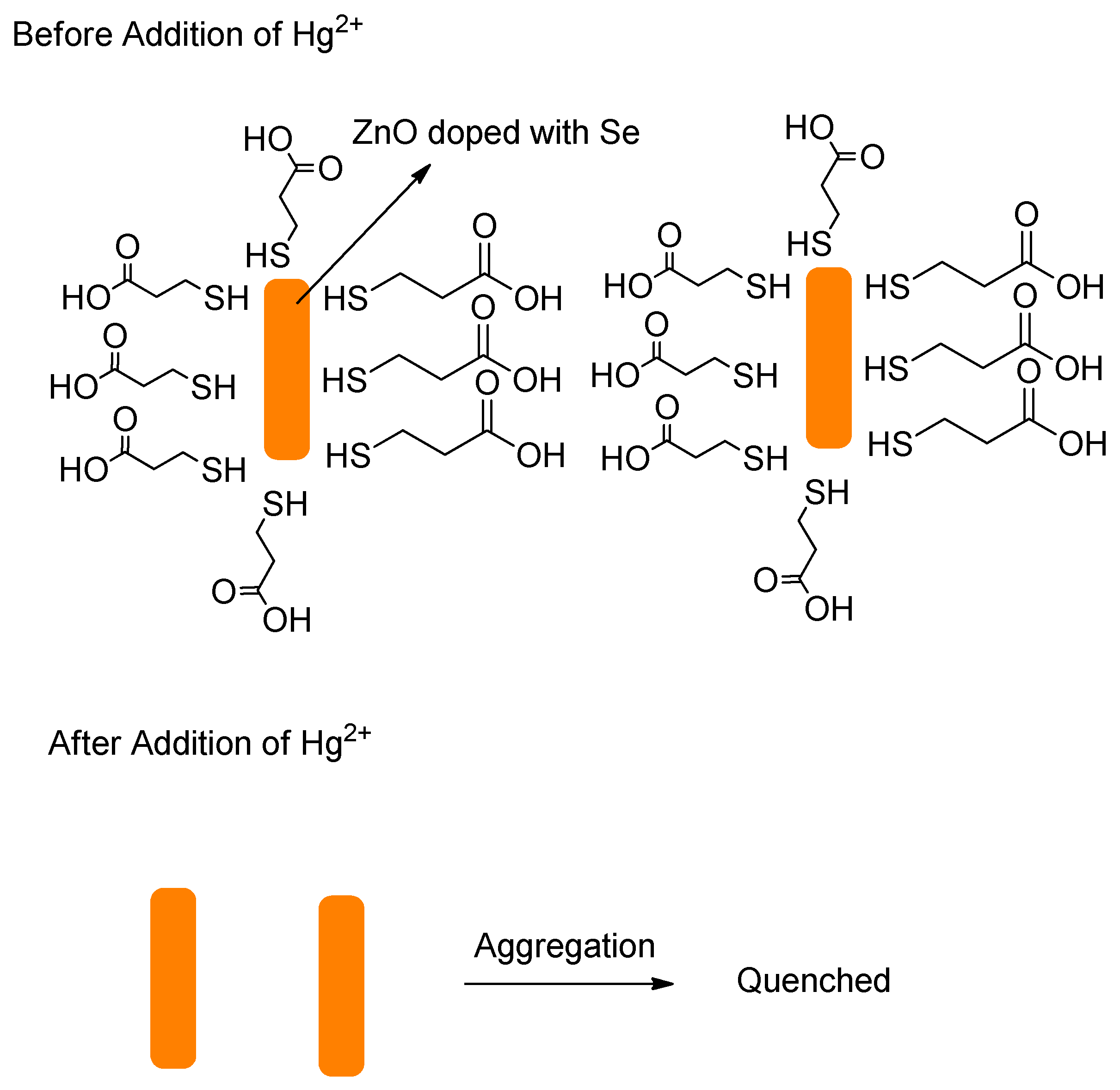 Molecules 26 00692 g067