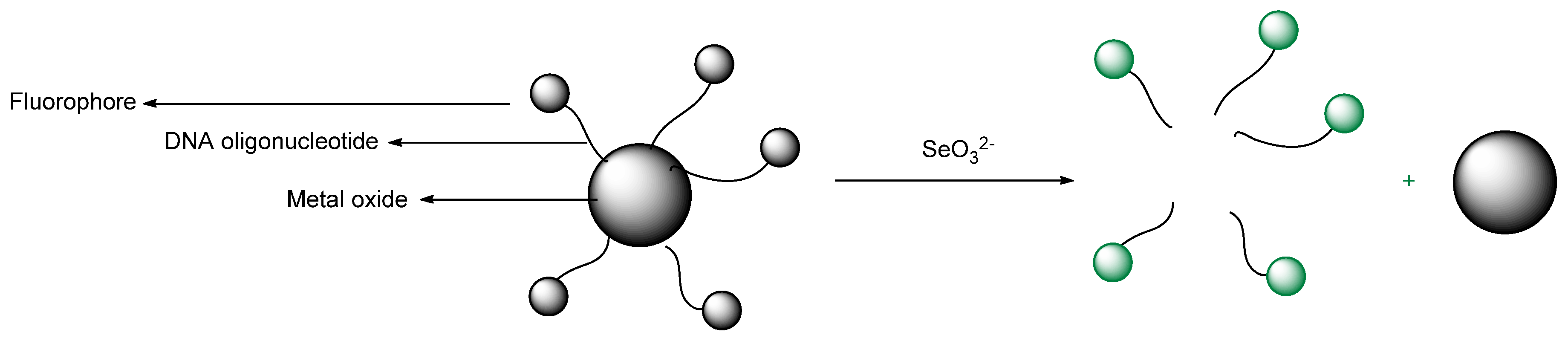 Molecules 26 00692 g068