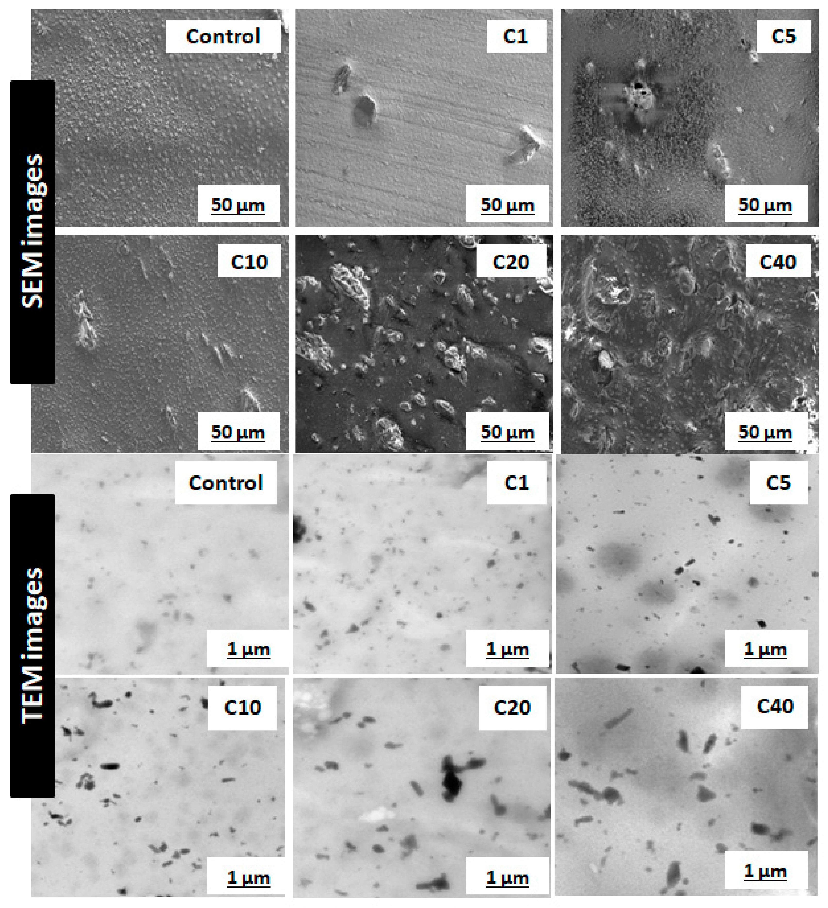Molecules 26 00694 g003 Molecules 26 00694 g003