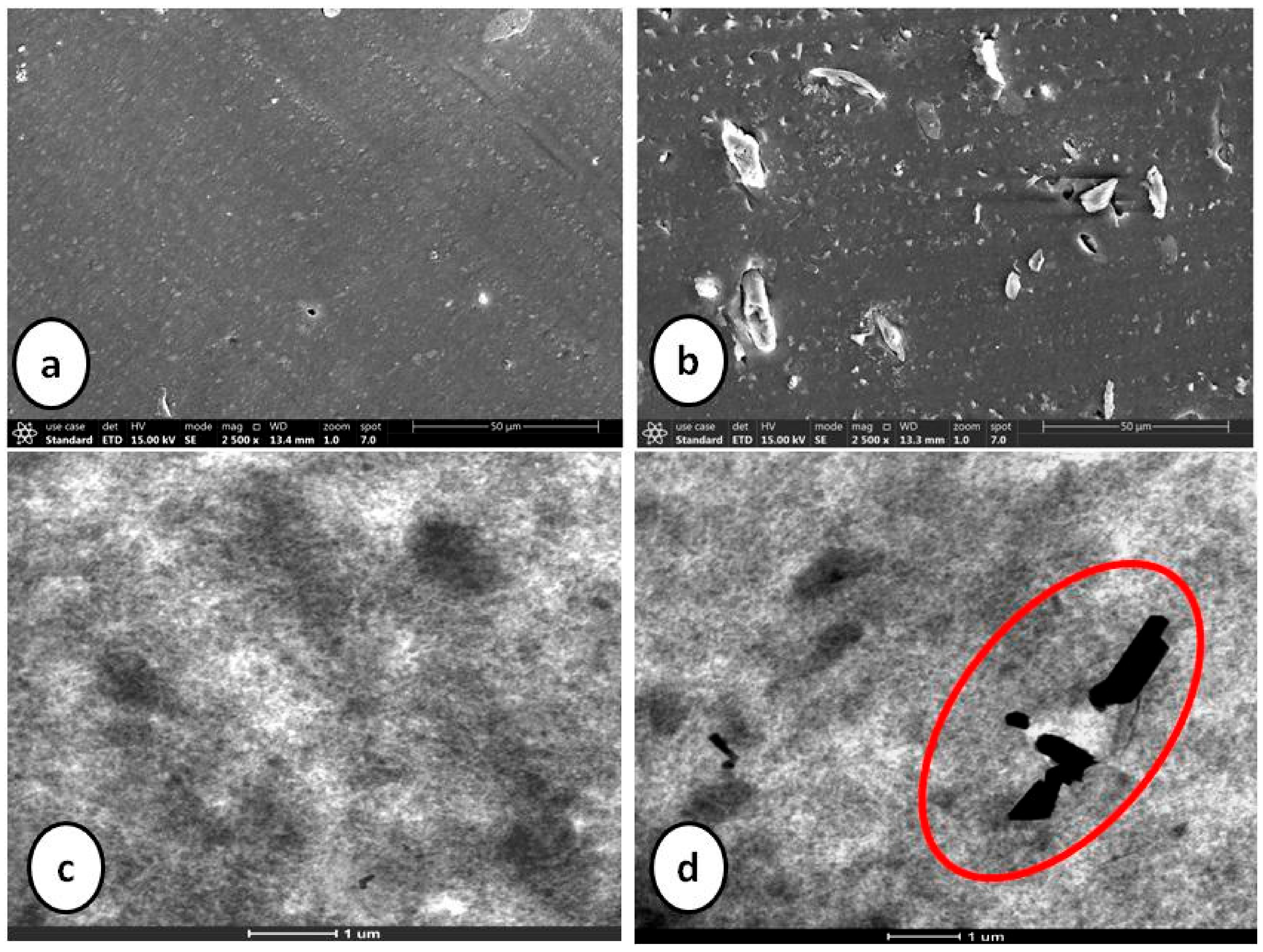 Molecules 26 00694 g008 Molecules 26 00694 g008