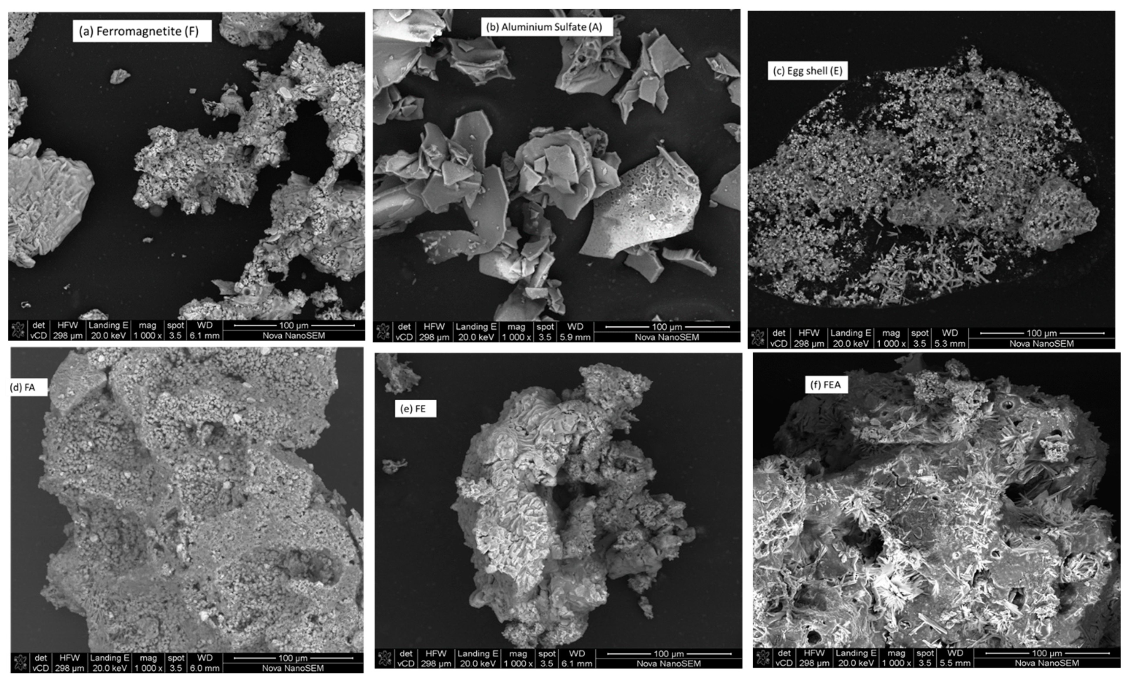 Molecules 26 00698 g001
