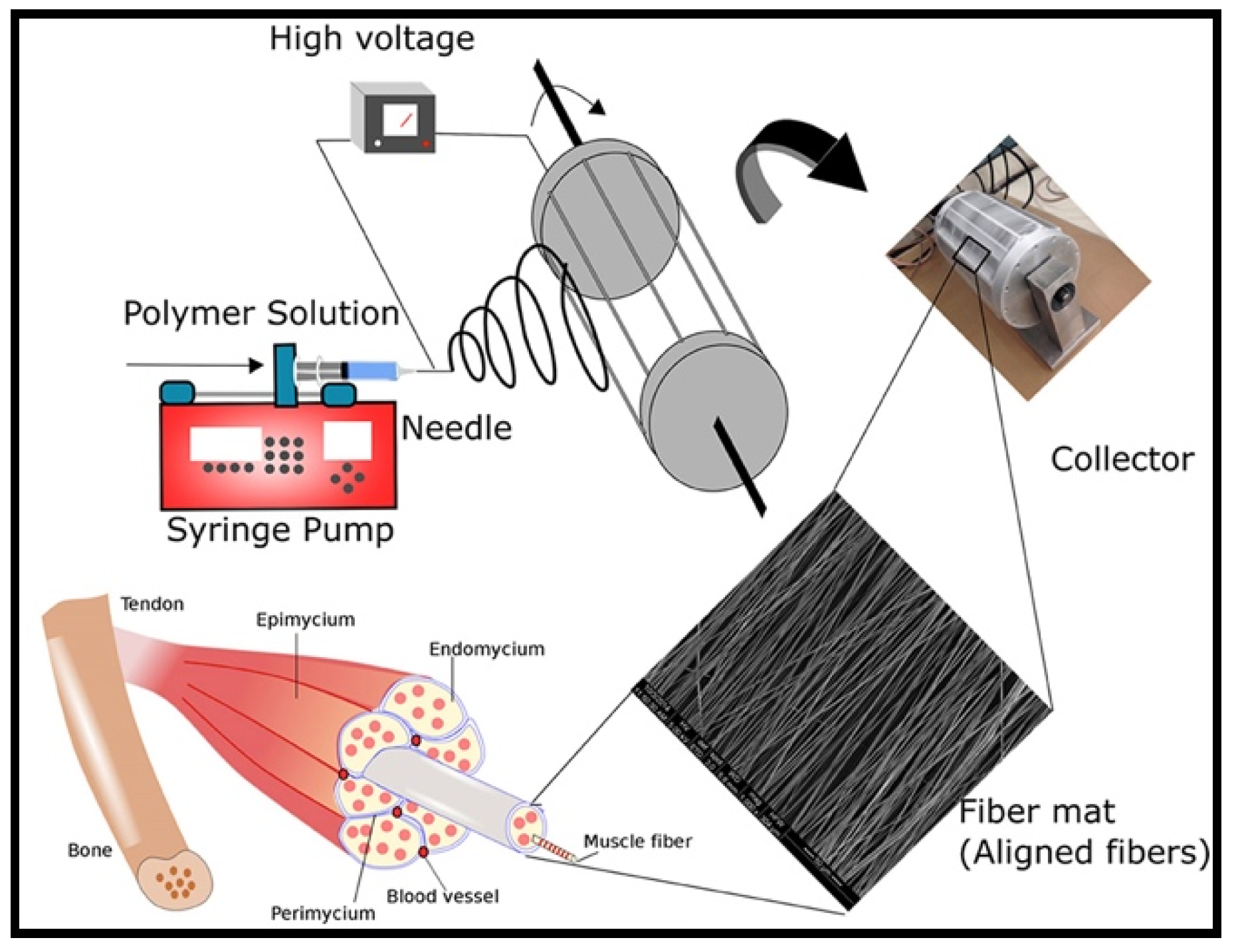 Molecules 26 00699 g005