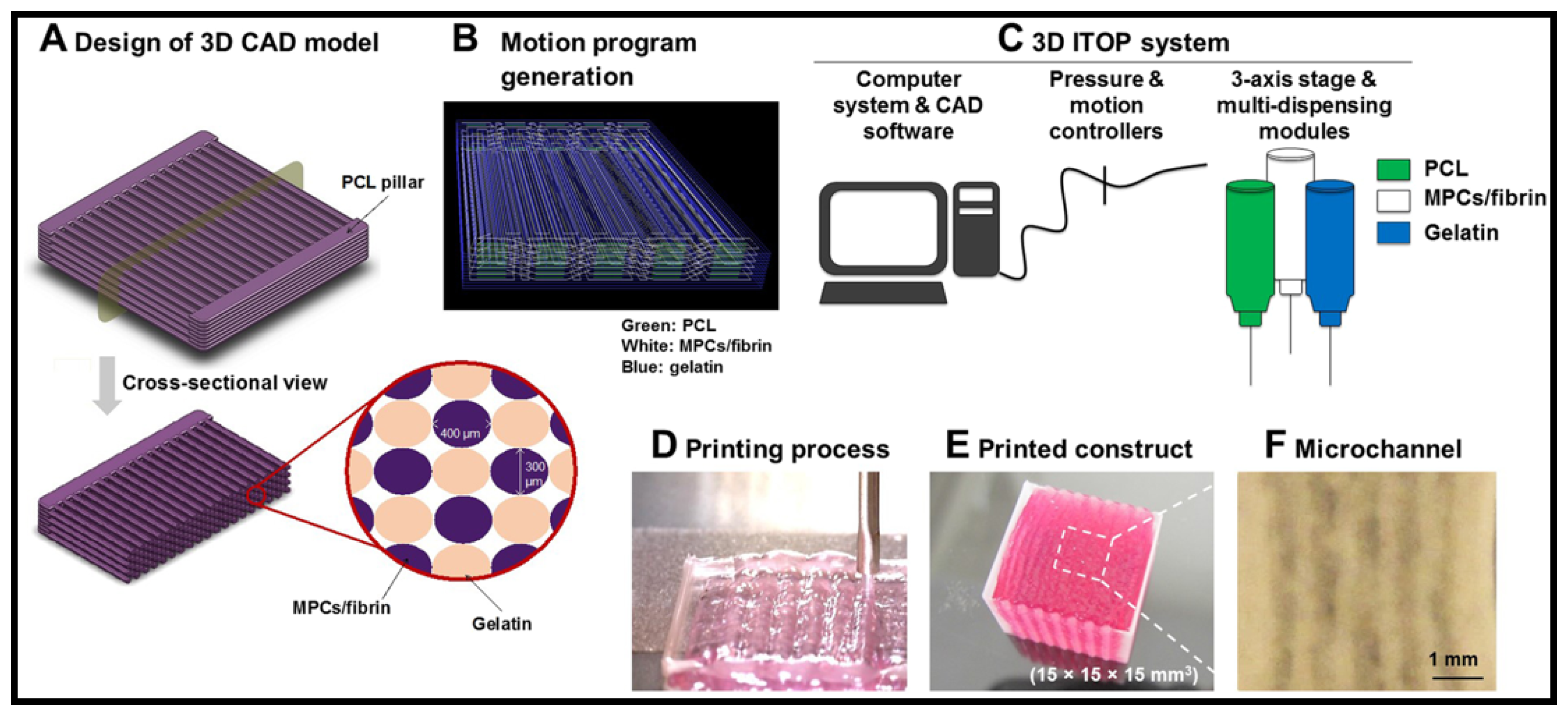 Molecules 26 00699 g007