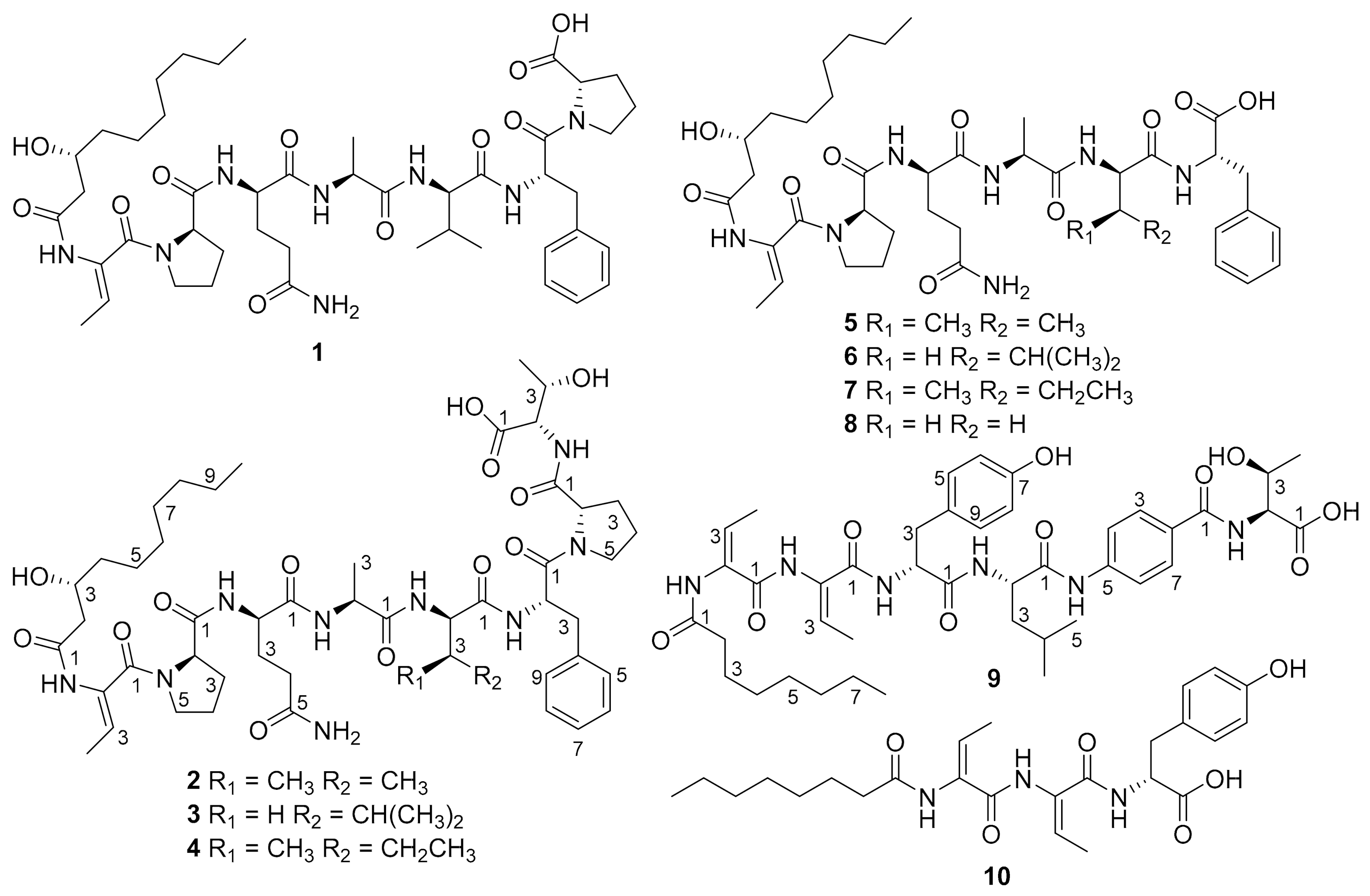 Molecules 26 00700 g001