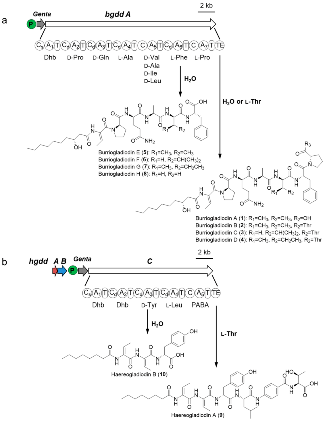 Molecules 26 00700 g005