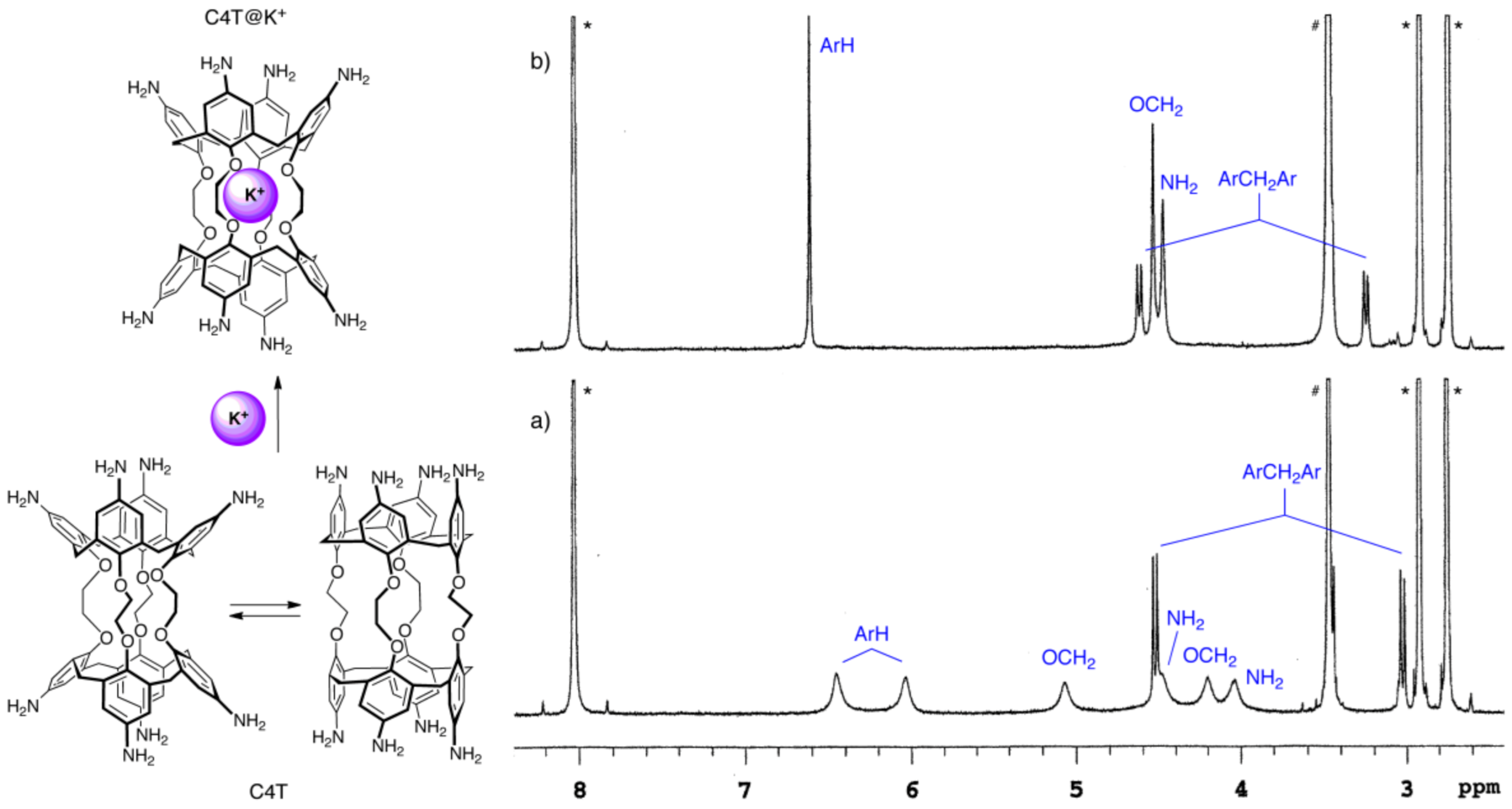 Molecules 26 00704 g001