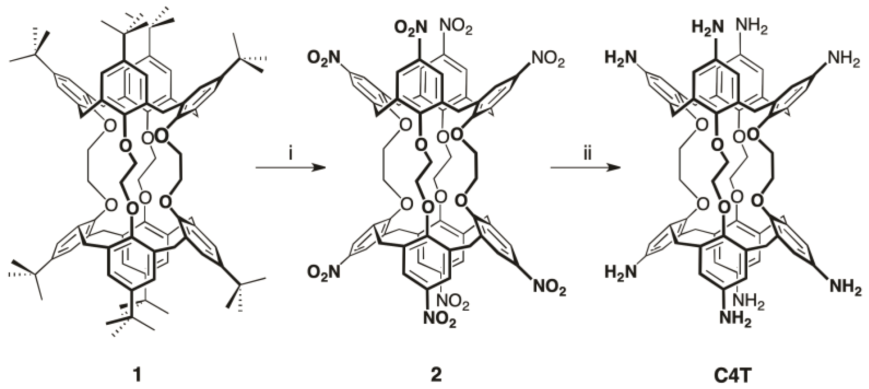 Molecules 26 00704 sch001