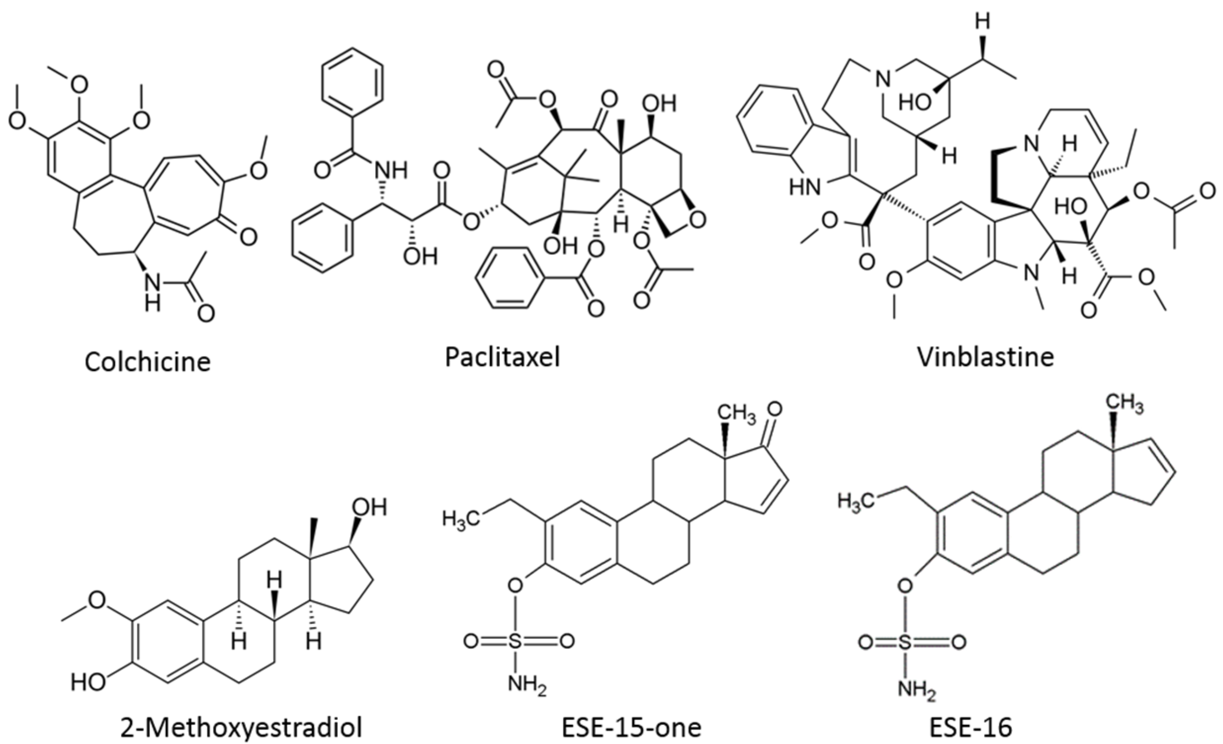 Molecules 26 00706 g001