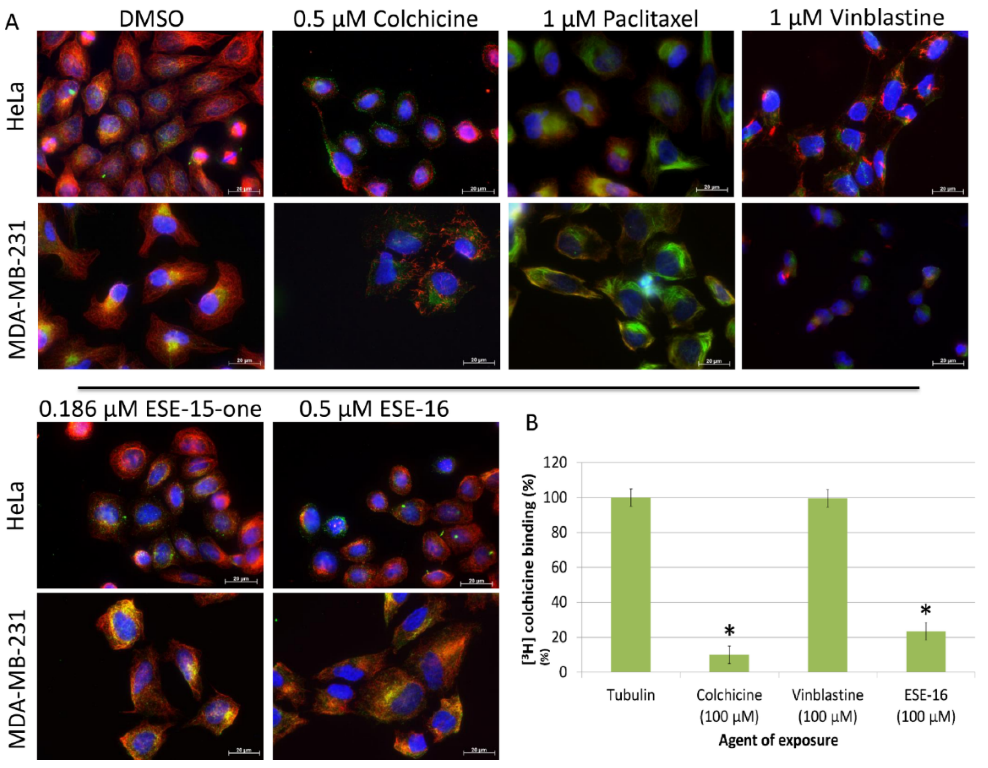 Molecules 26 00706 g002
