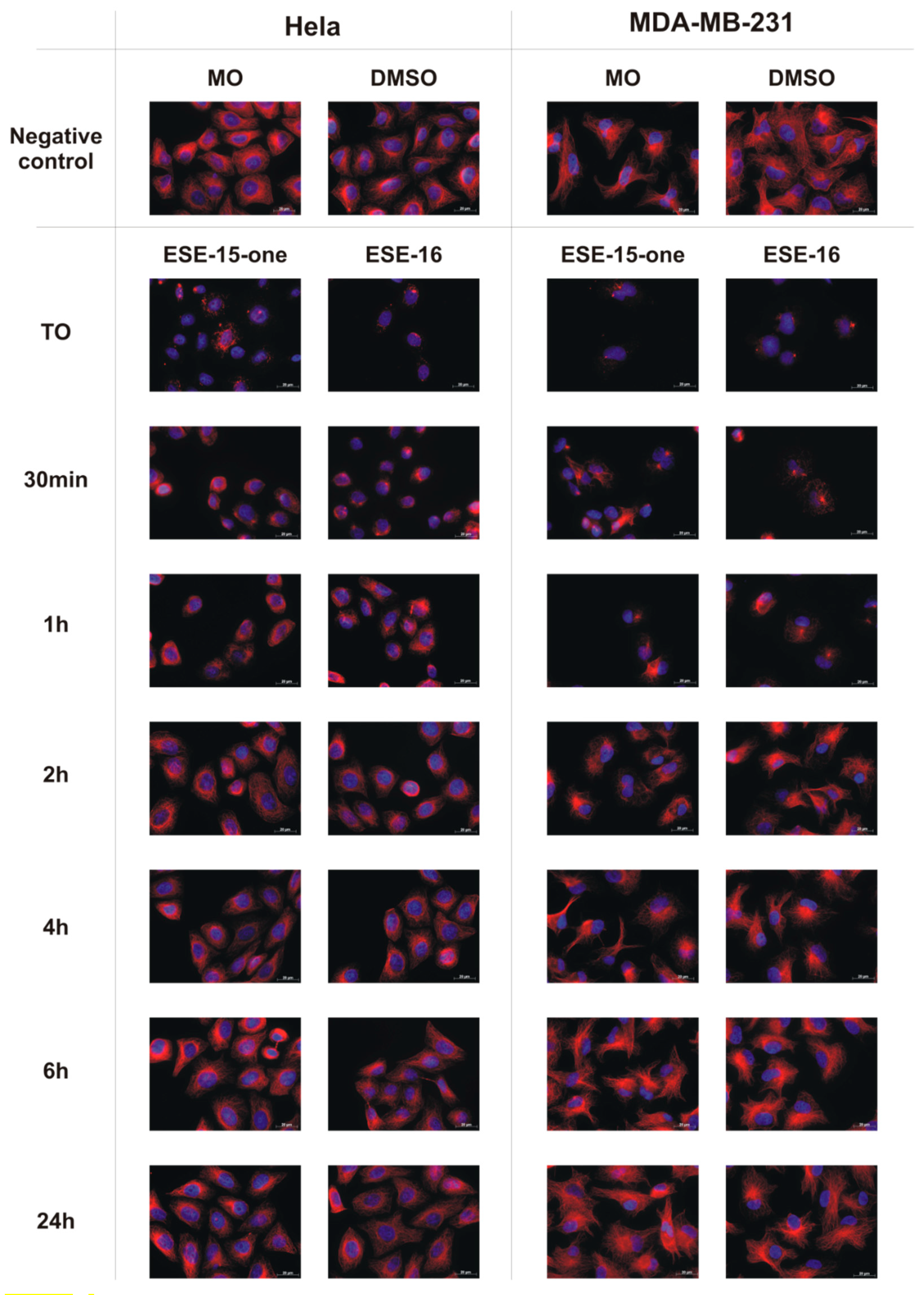 Molecules 26 00706 g003