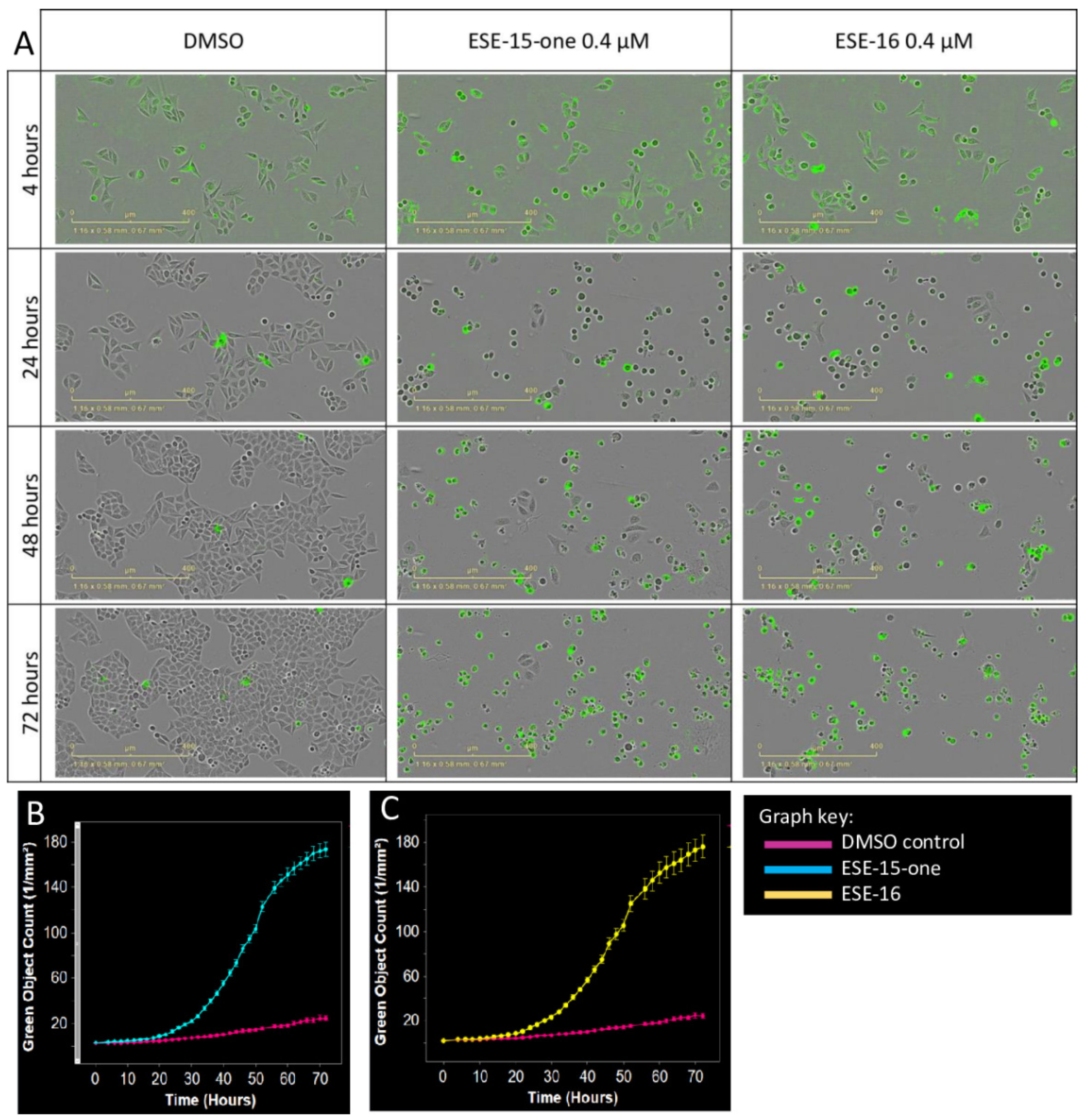 Molecules 26 00706 g004