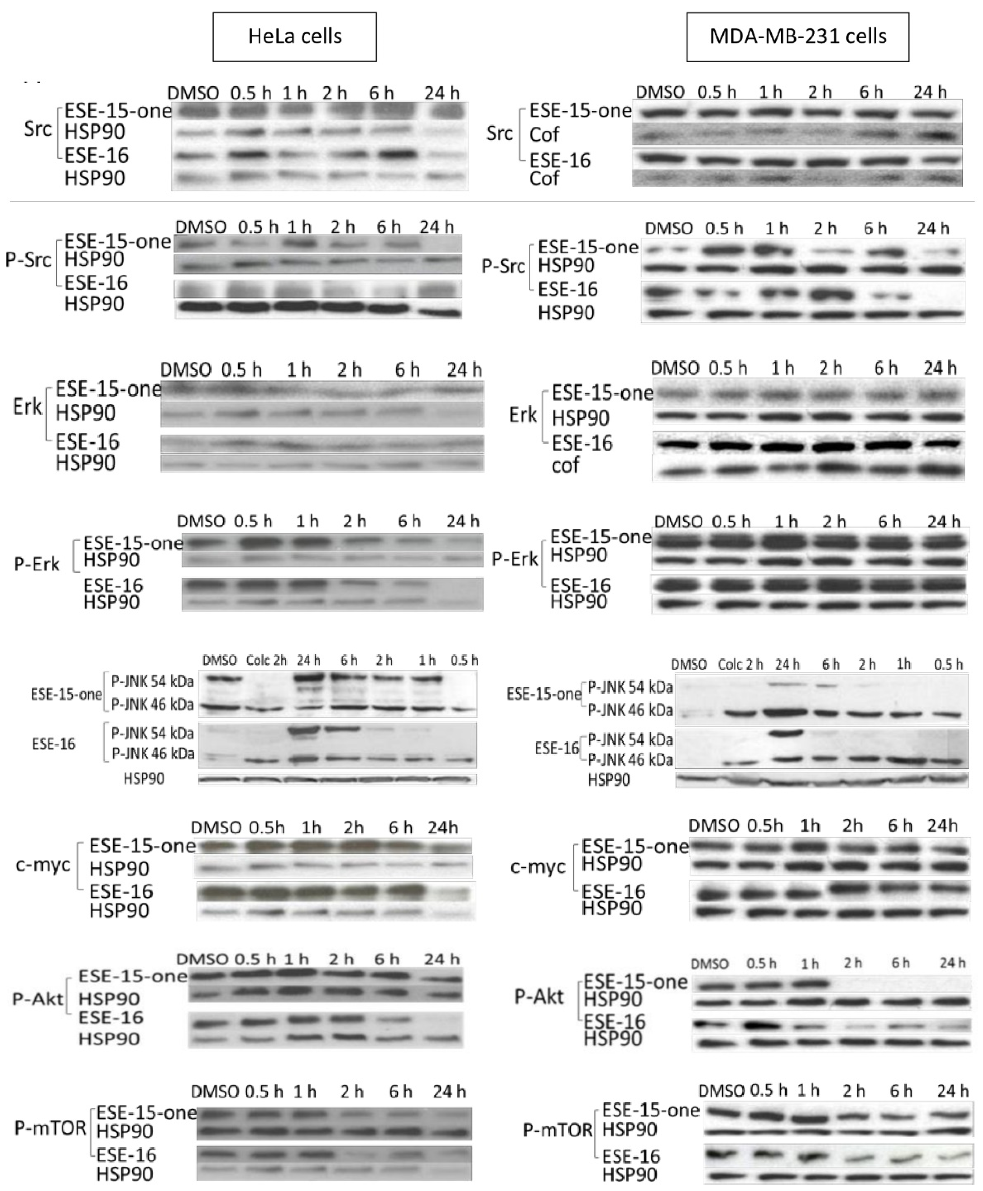 Molecules 26 00706 g010