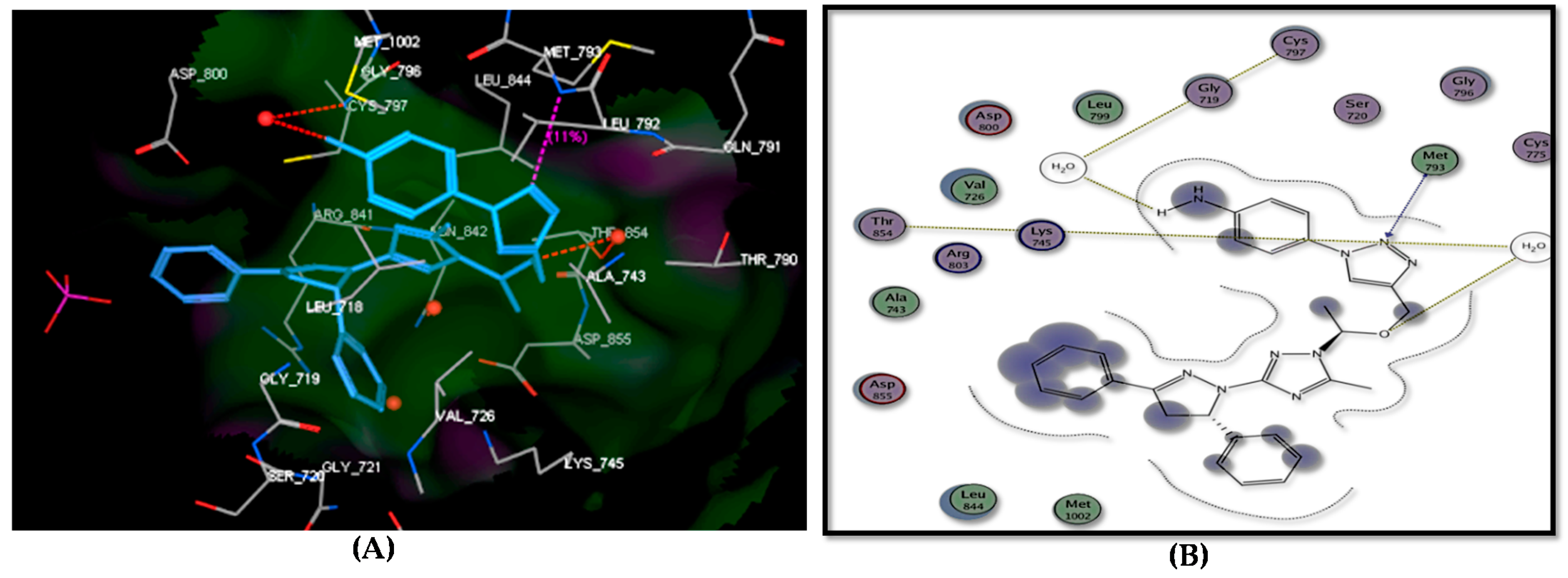 Molecules 26 00708 g006