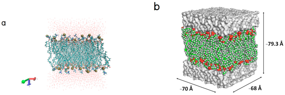 Molecules 26 00710 g001