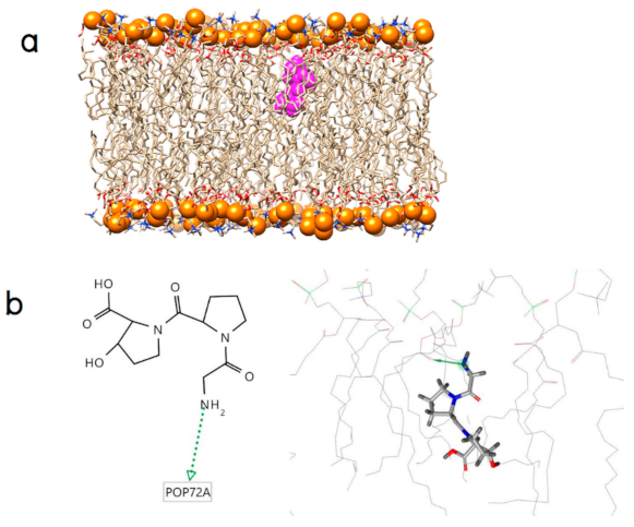 Molecules 26 00710 g002