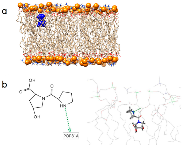 Molecules 26 00710 g003