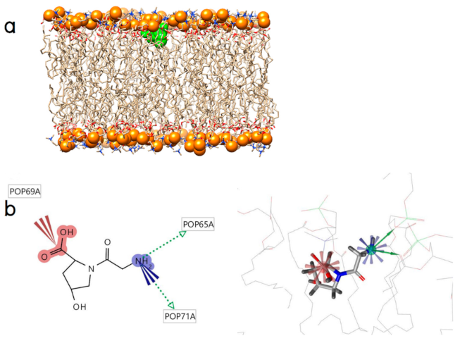 Molecules 26 00710 g004