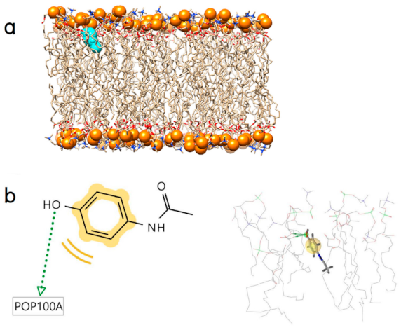 Molecules 26 00710 g005