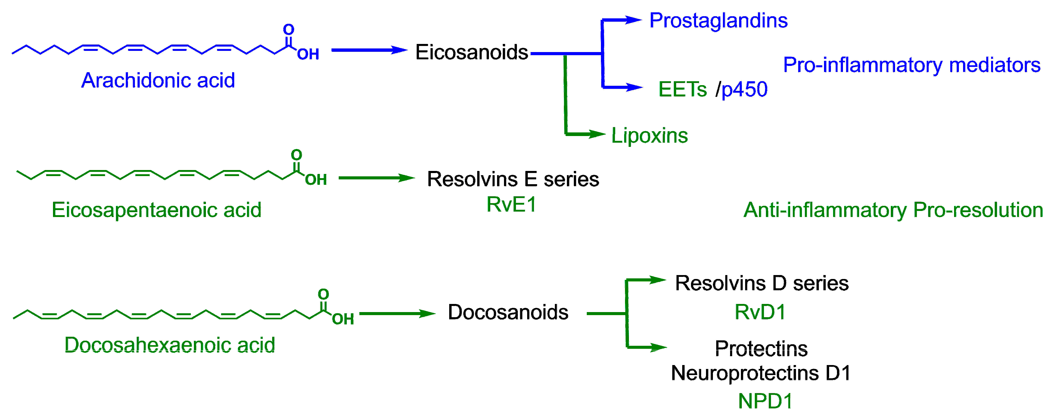 Molecules 26 00711 g002 Molecules 26 00711 g002