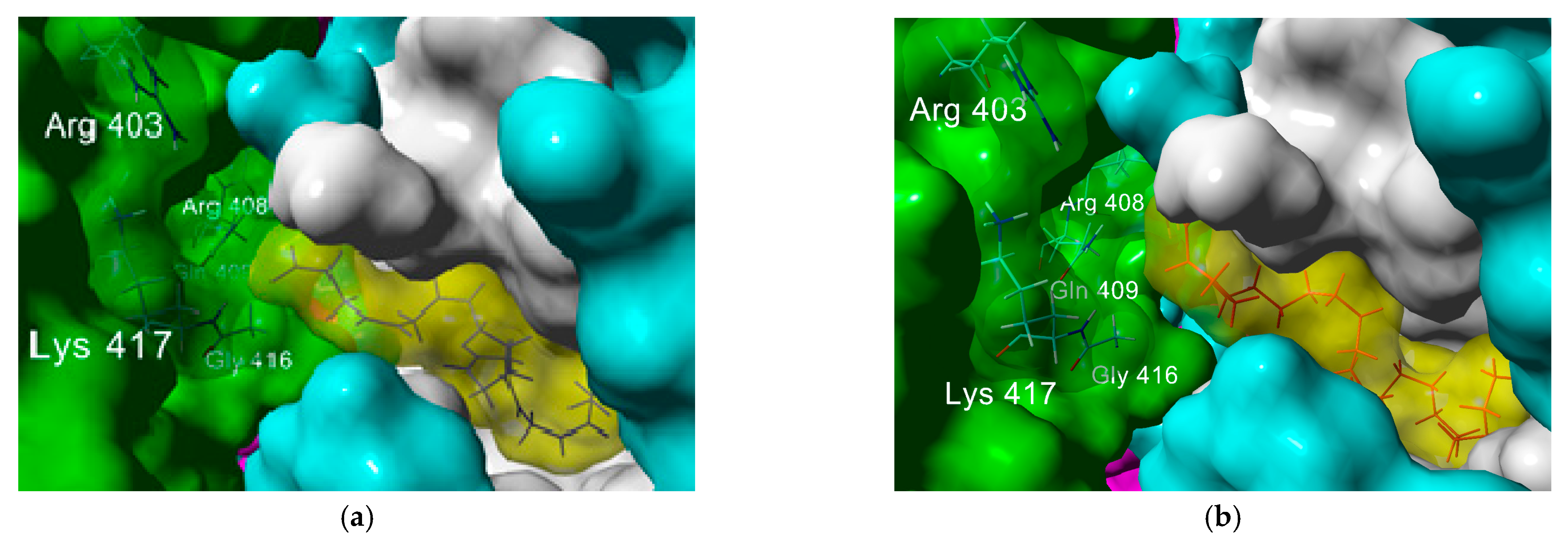 Molecules 26 00711 g005 Molecules 26 00711 g005