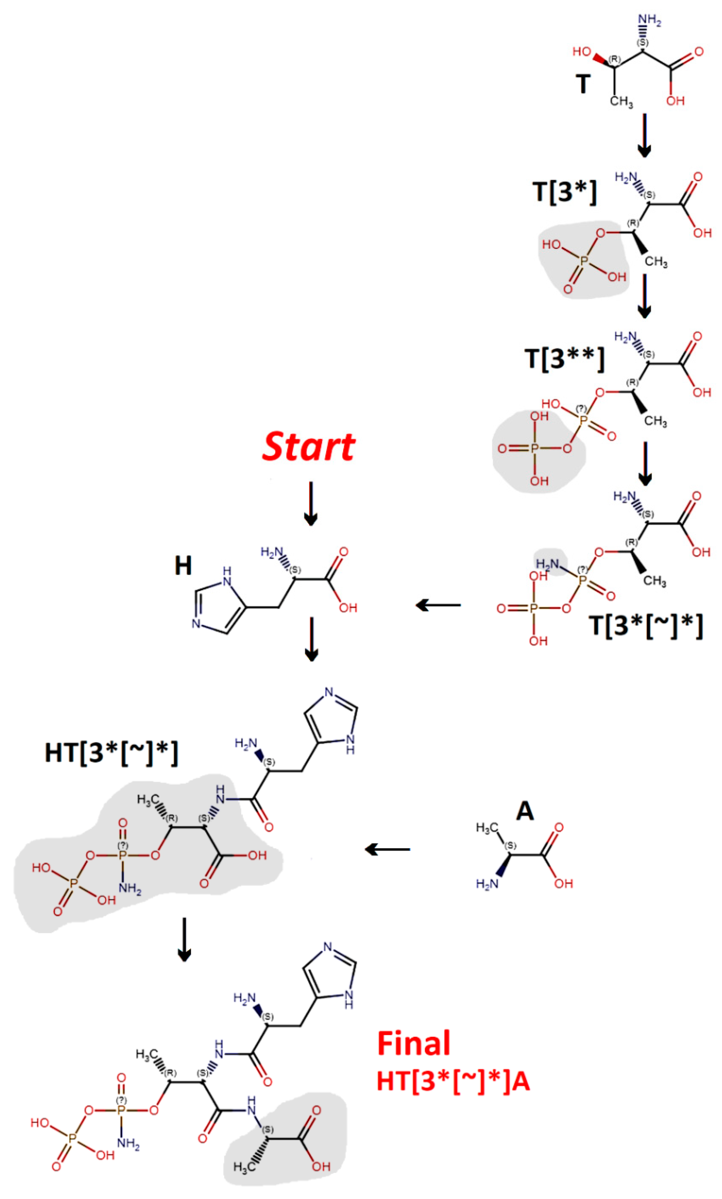 Molecules 26 00712 g004