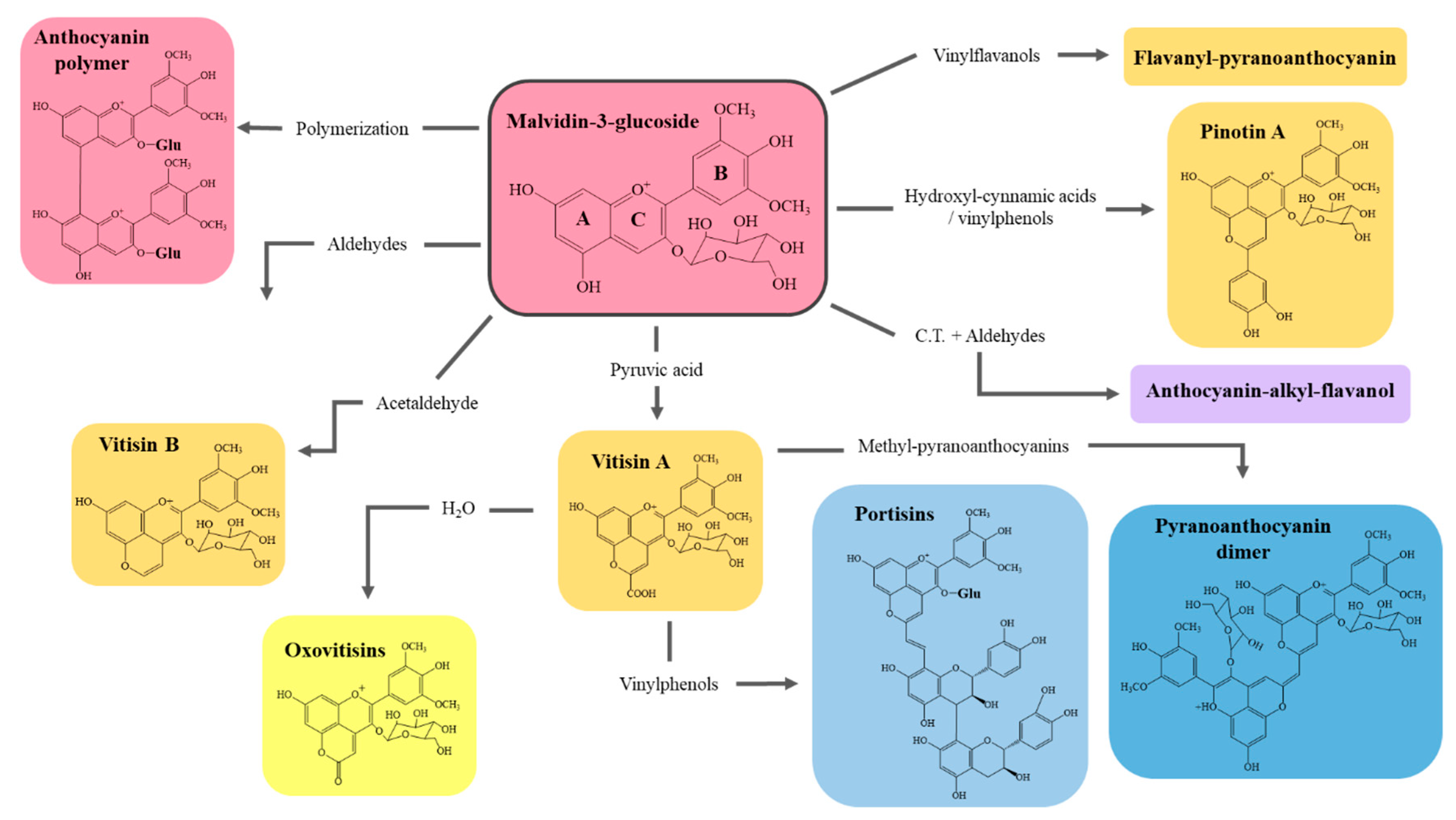 Molecules 26 00713 g003 Molecules 26 00713 g003
