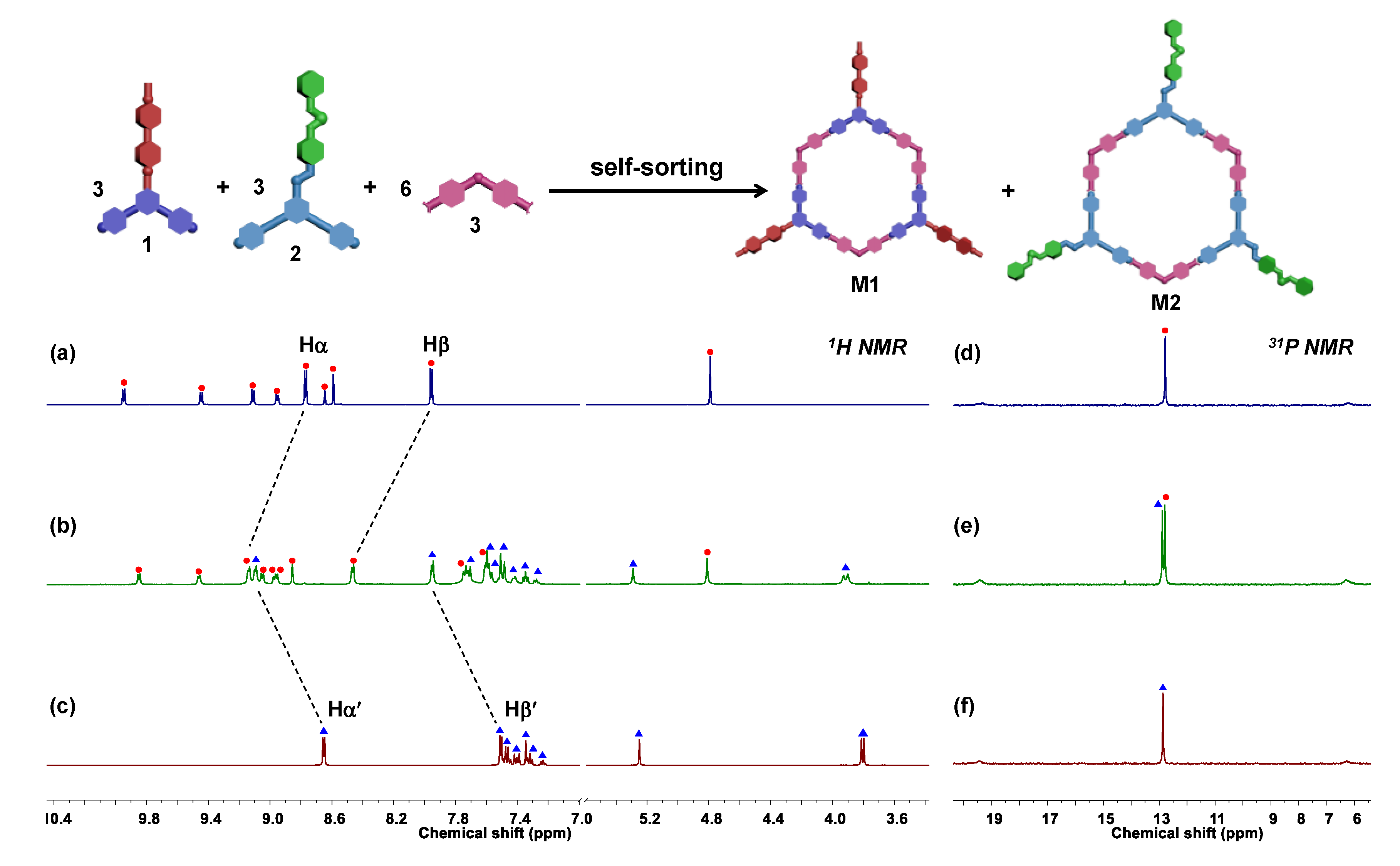 Molecules 26 00716 g002